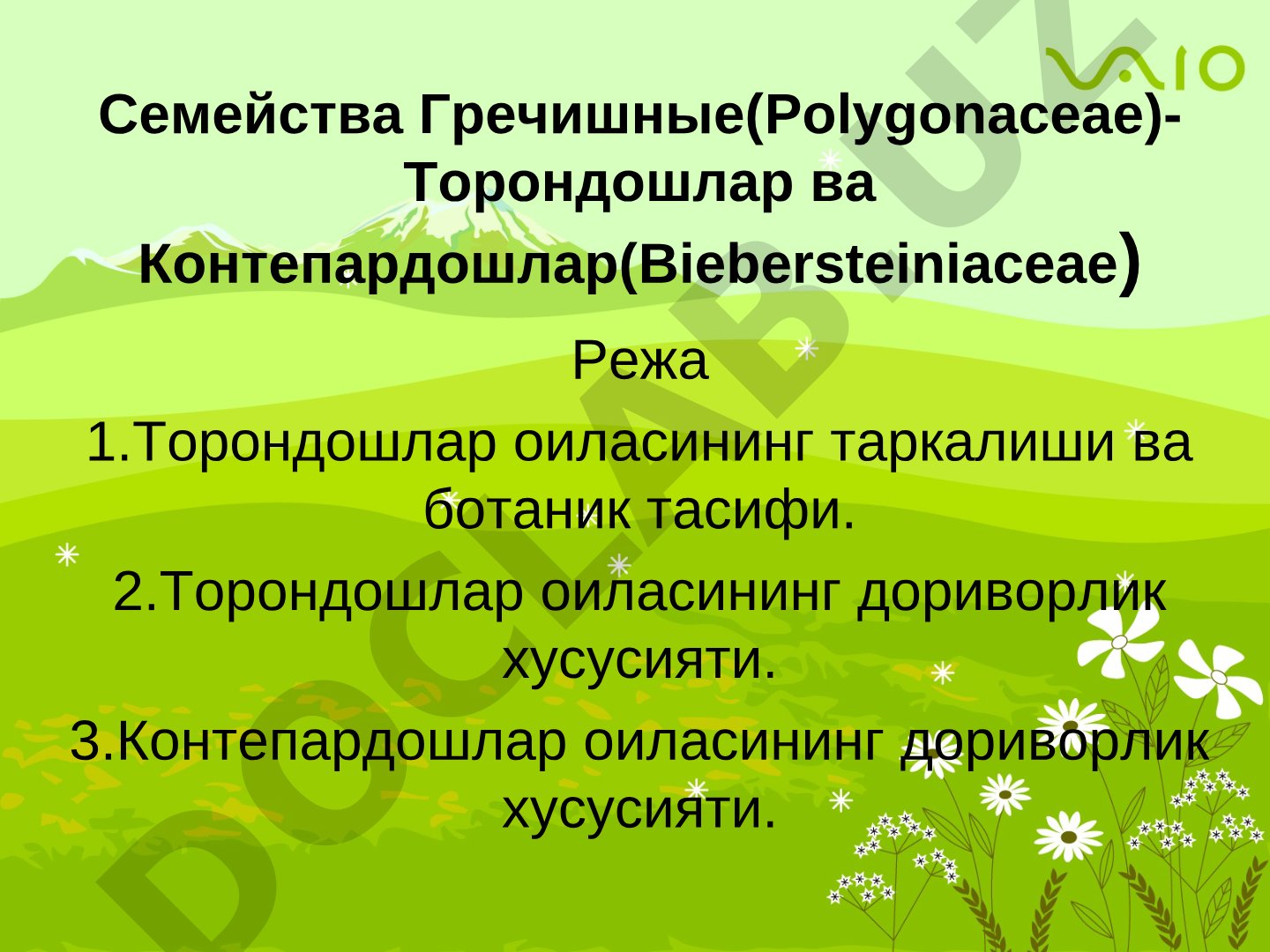 Семейства Гречишные(Полигонацеае)-Торондошлар ва Контепардошлар(Биберштейниевые)