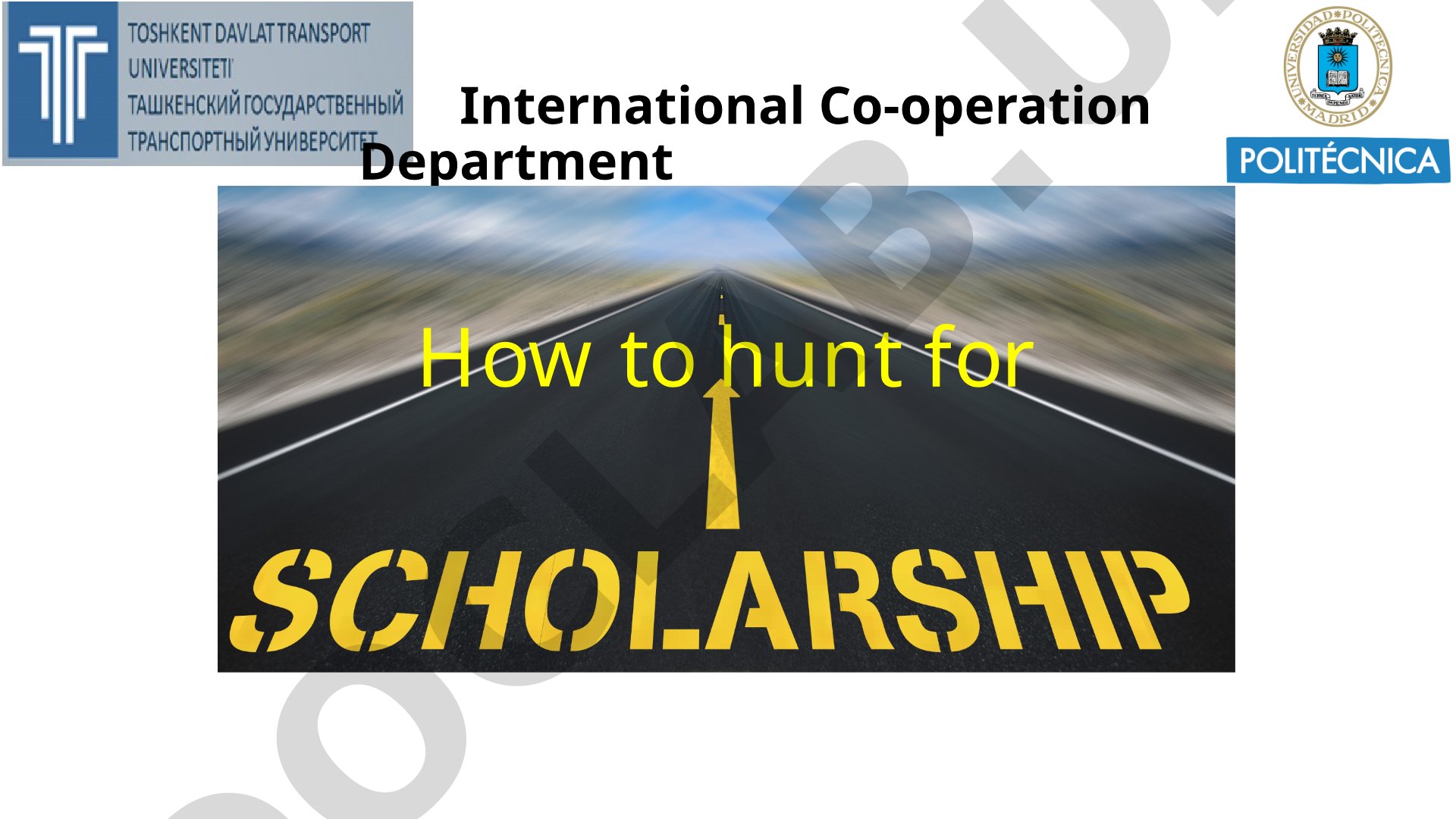 How to Hunt for a Scholarship