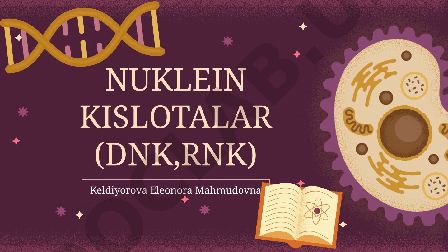 Nuklein kislotalar (DNK, RNK)
