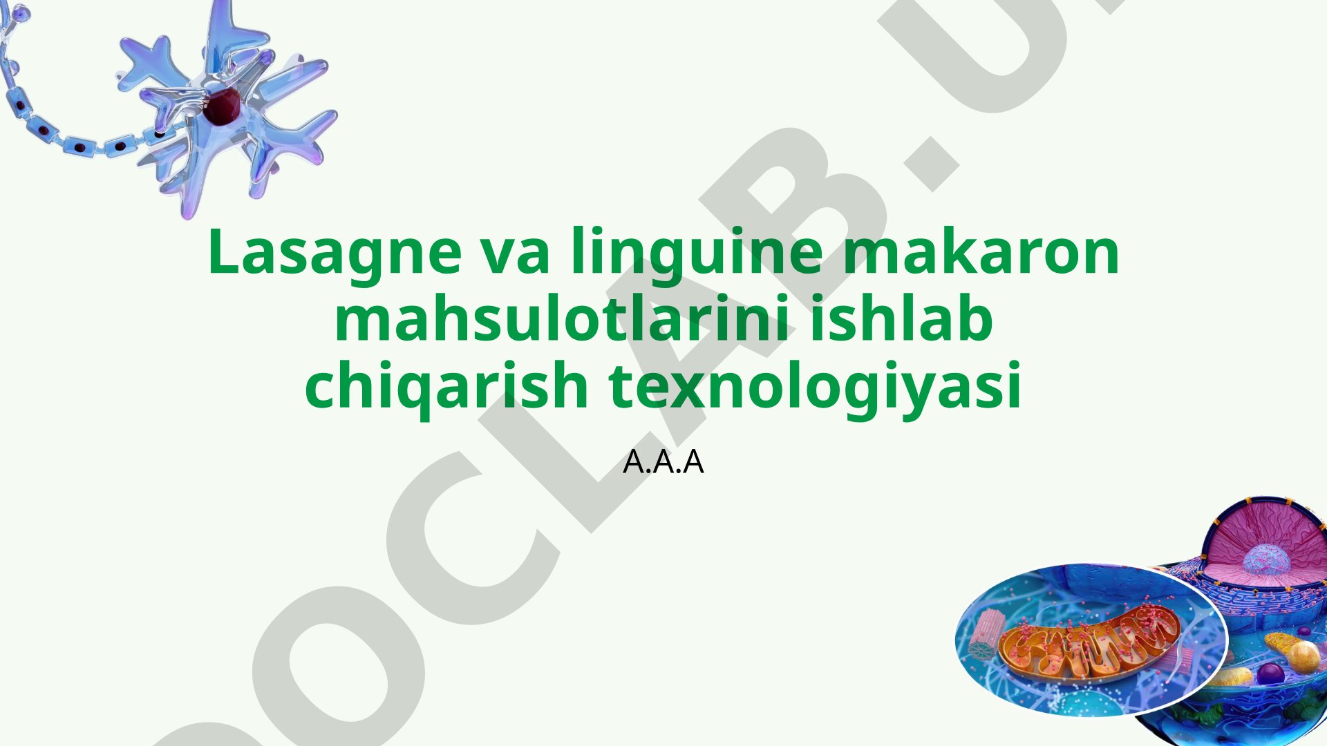 Lasagne va linguine makaron mahsulotlarini ishlab chiqarish texnologiyasi
