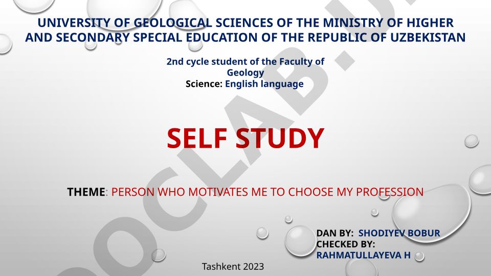 Person who motivates me to choose my profession