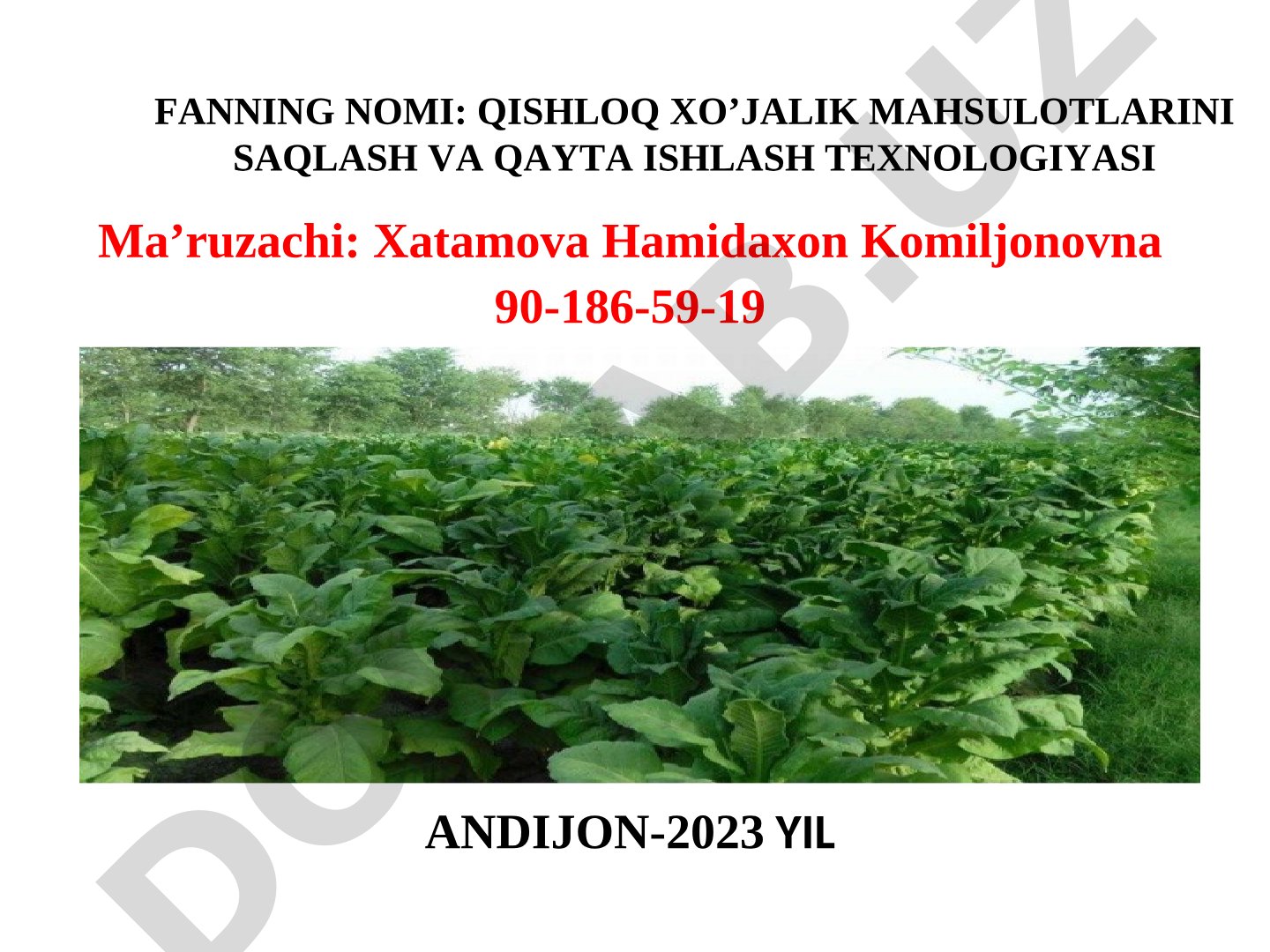 Tamakini saqlash va qayta ishlash texnologiyasi