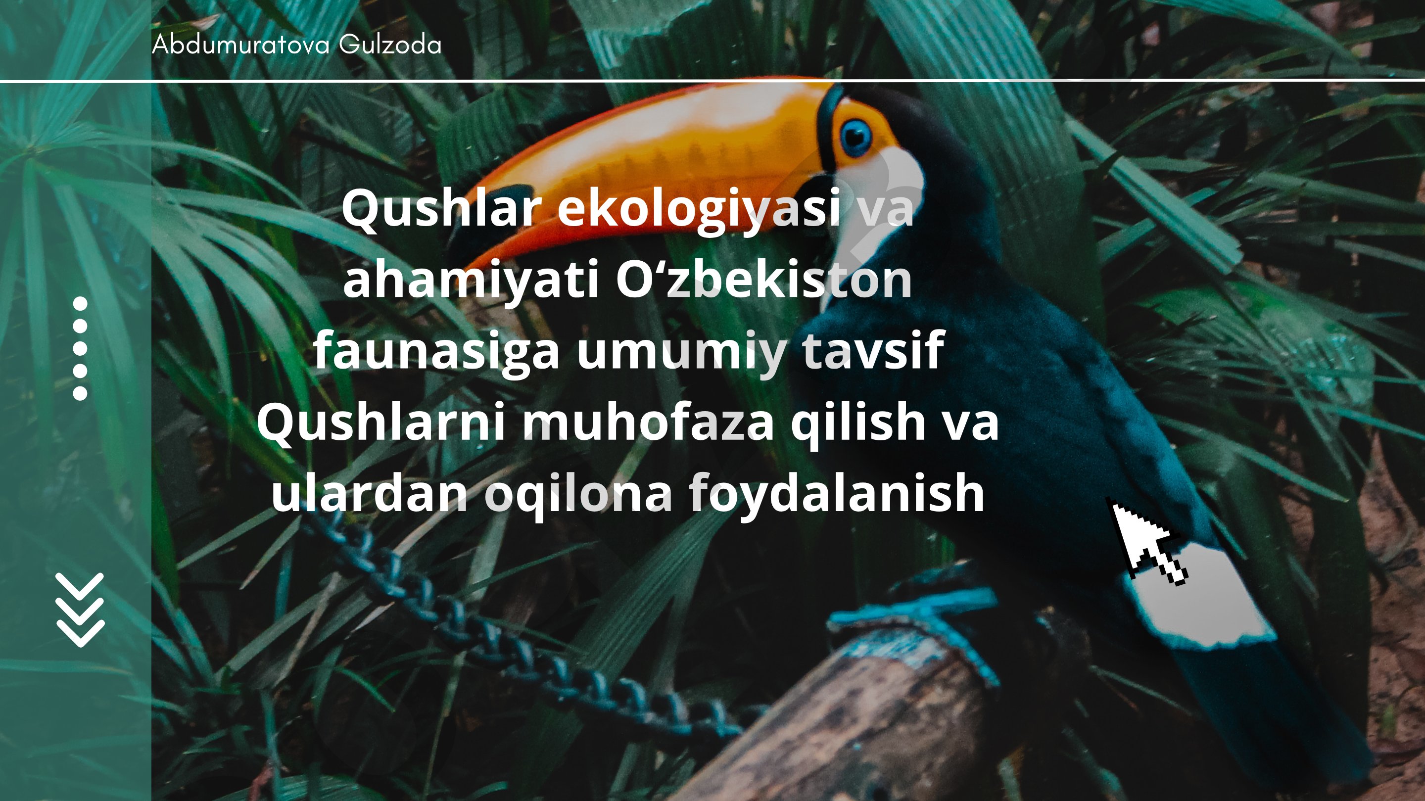 Qushlar ekologiyasi va ahamiyati