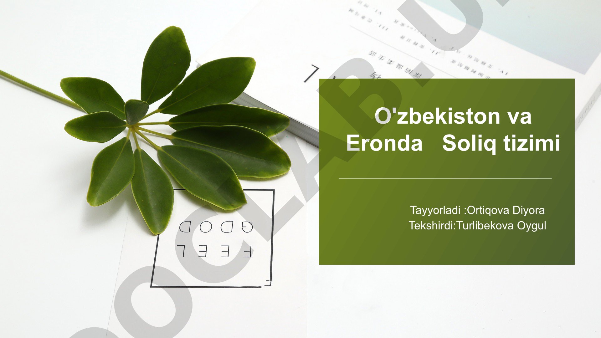 O'zbekiston va Eronda soliq tizimi