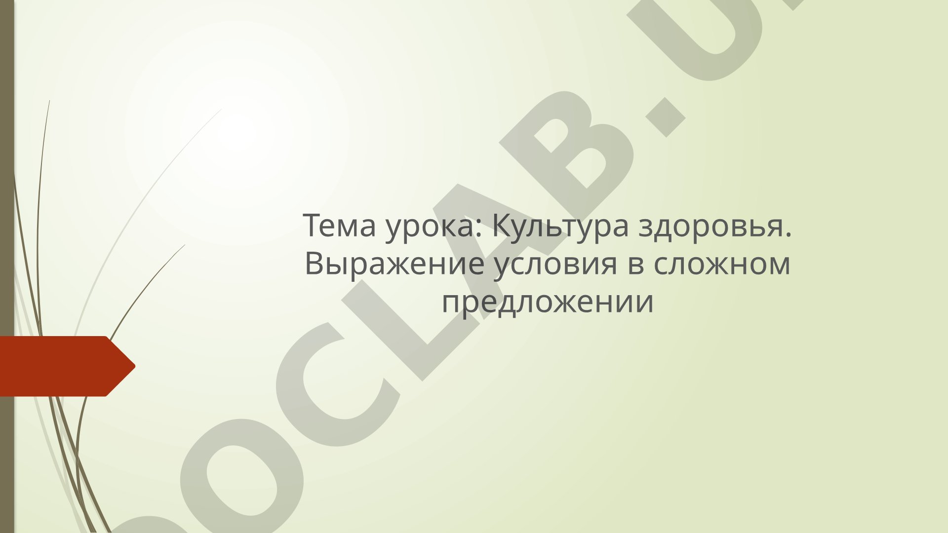 Культура здоровья. Выражение условия в сложном предложении