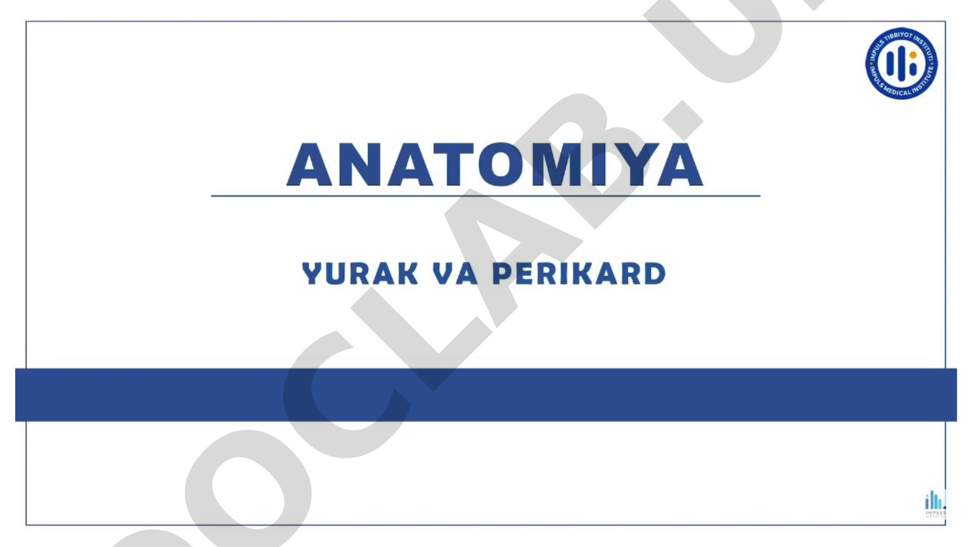 Anatomiya yurak va perikard