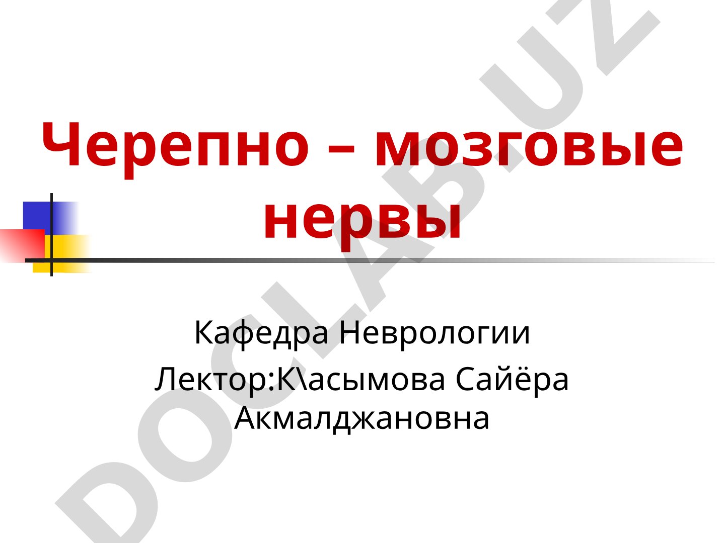 Черепно-мозговые нервы
