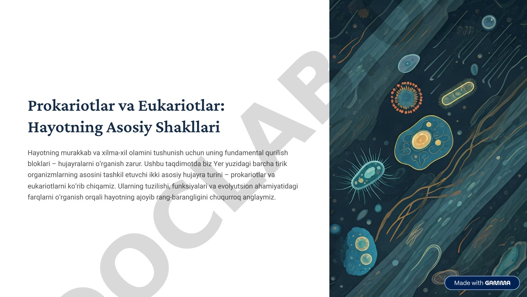 Prokariotlar va Eukariotlar: Hayotning Asosiy Shakllari