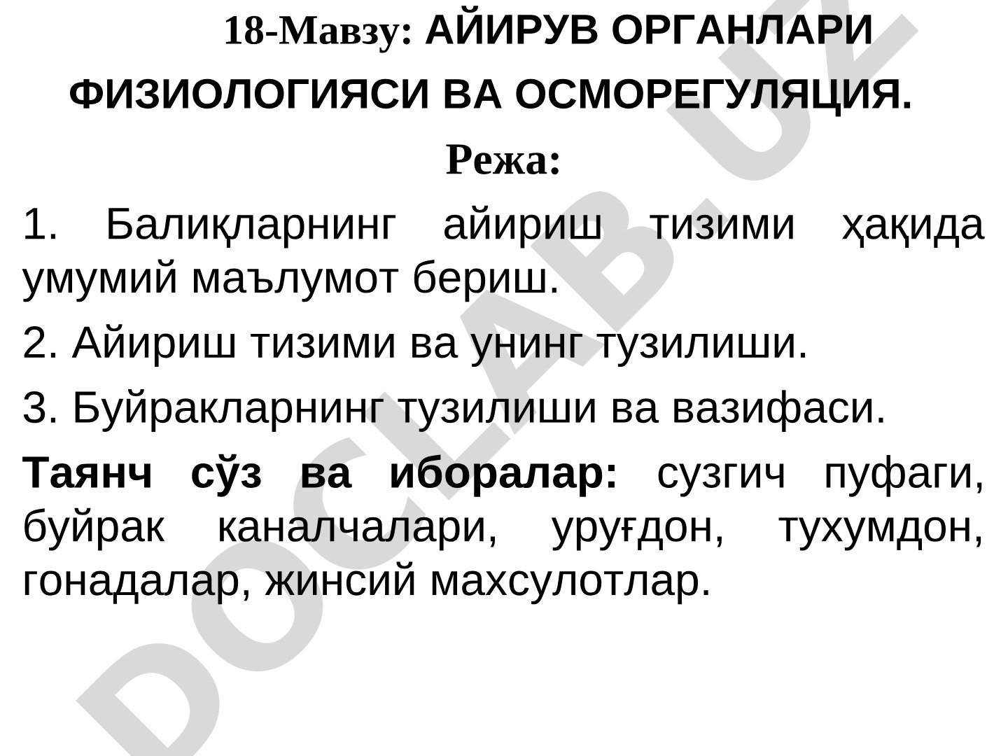 АЙИРУВ ОРГАНЛАРИ ФИЗИОЛОГИЯСИ ВА ОСМОРЕГУЛЯЦИЯ