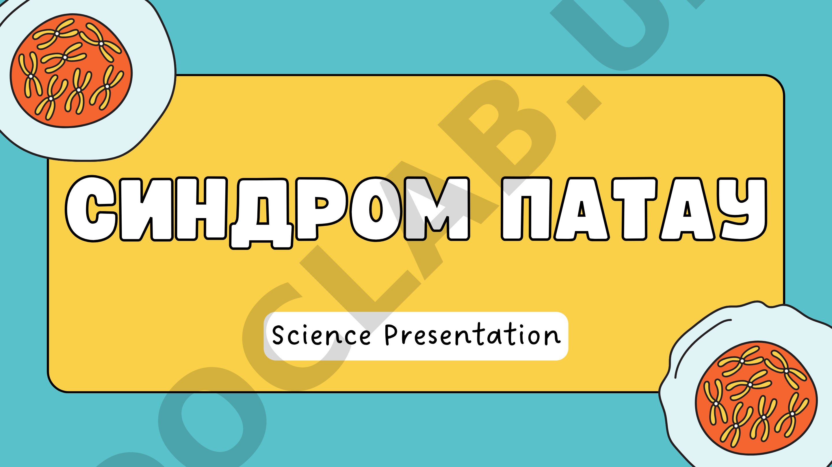 Редкое хромосомное заболевание, вызванное трисомией 13; история открытия, эпидемиология