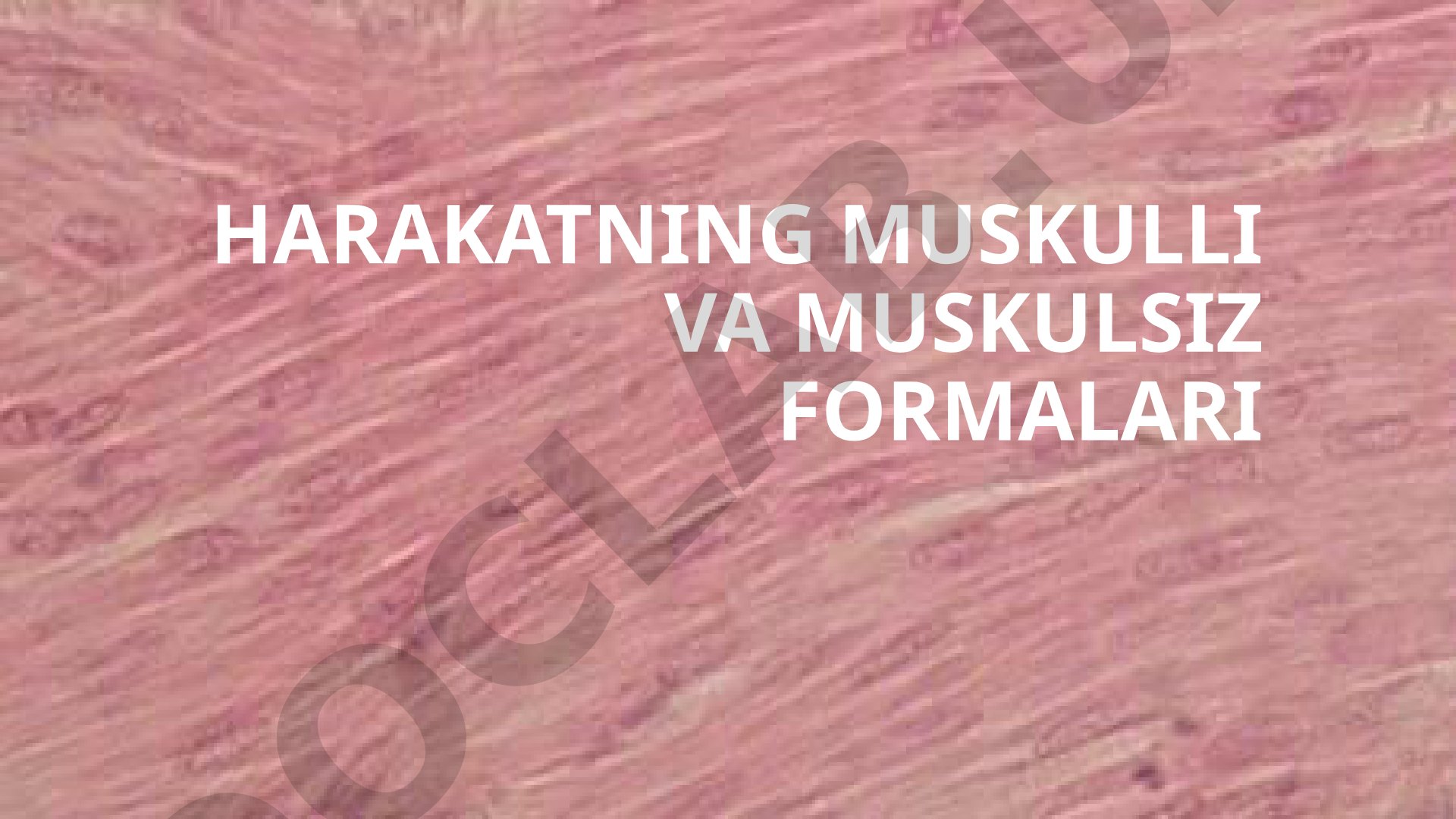 Harakatning muskulli va muskulsiiz formalari