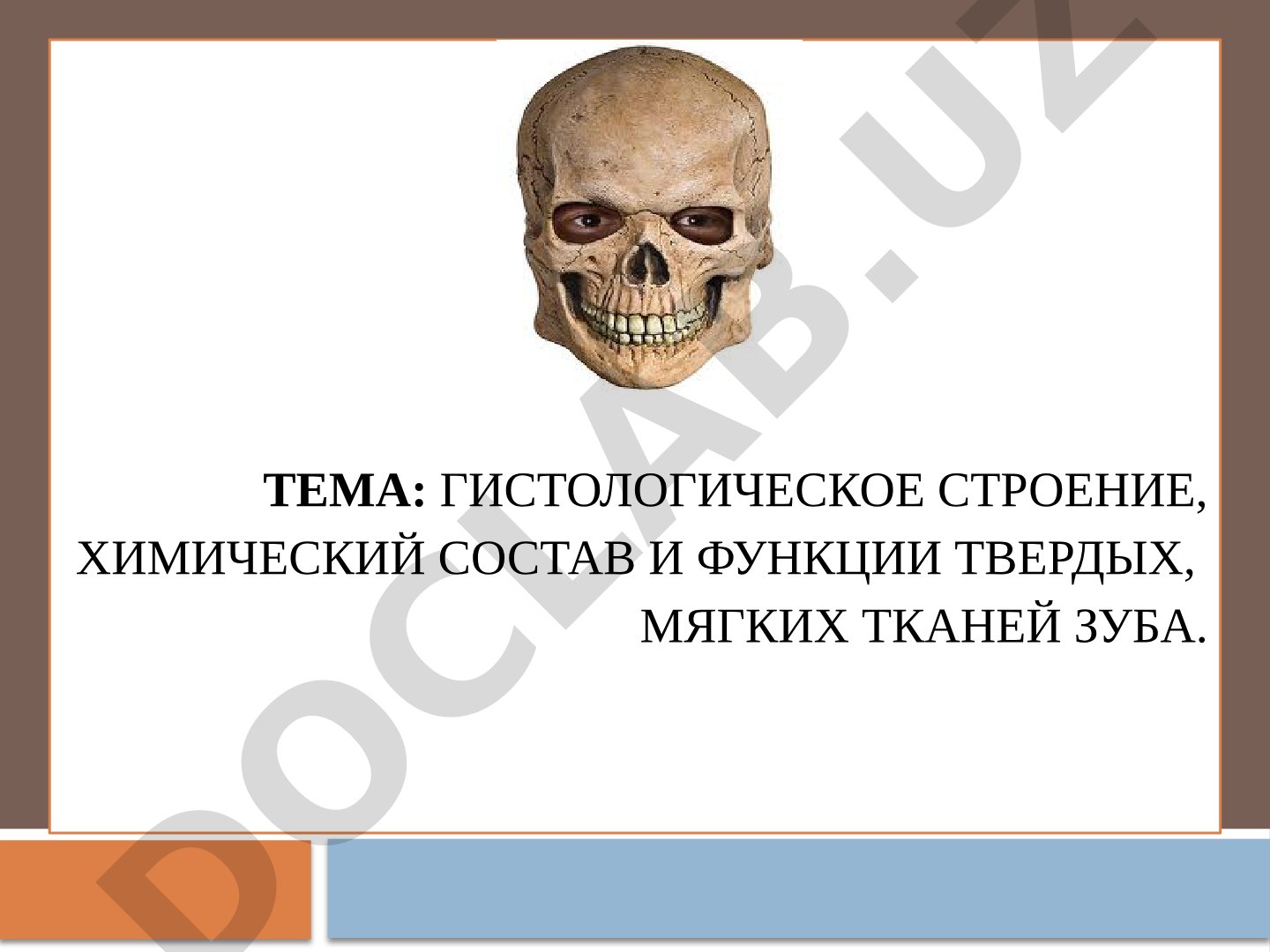 Гистологическое строение, химический состав и функции твердых, мягких тканей зуба.