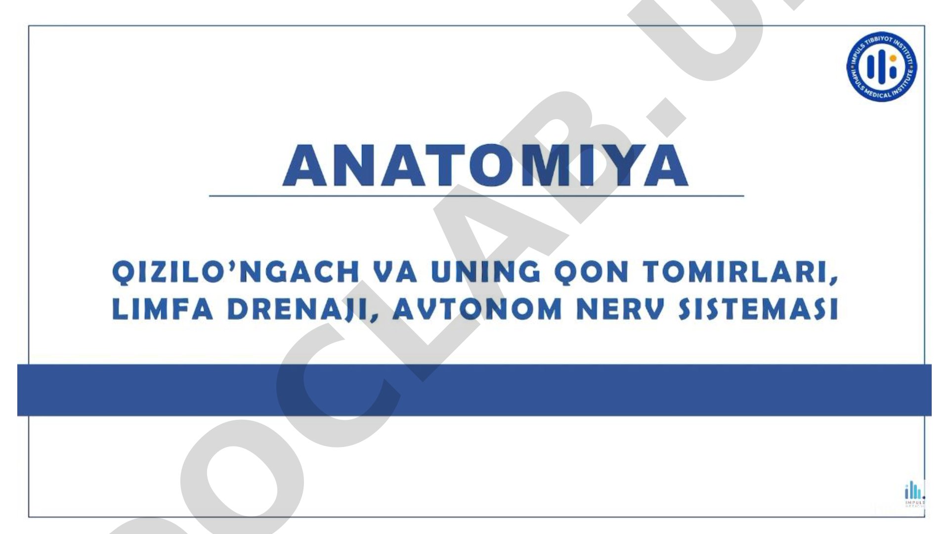 Anatomiya qizilo'ngach va uning qon tomirlari, limfa drenaji, avtonom nerv sistemasi