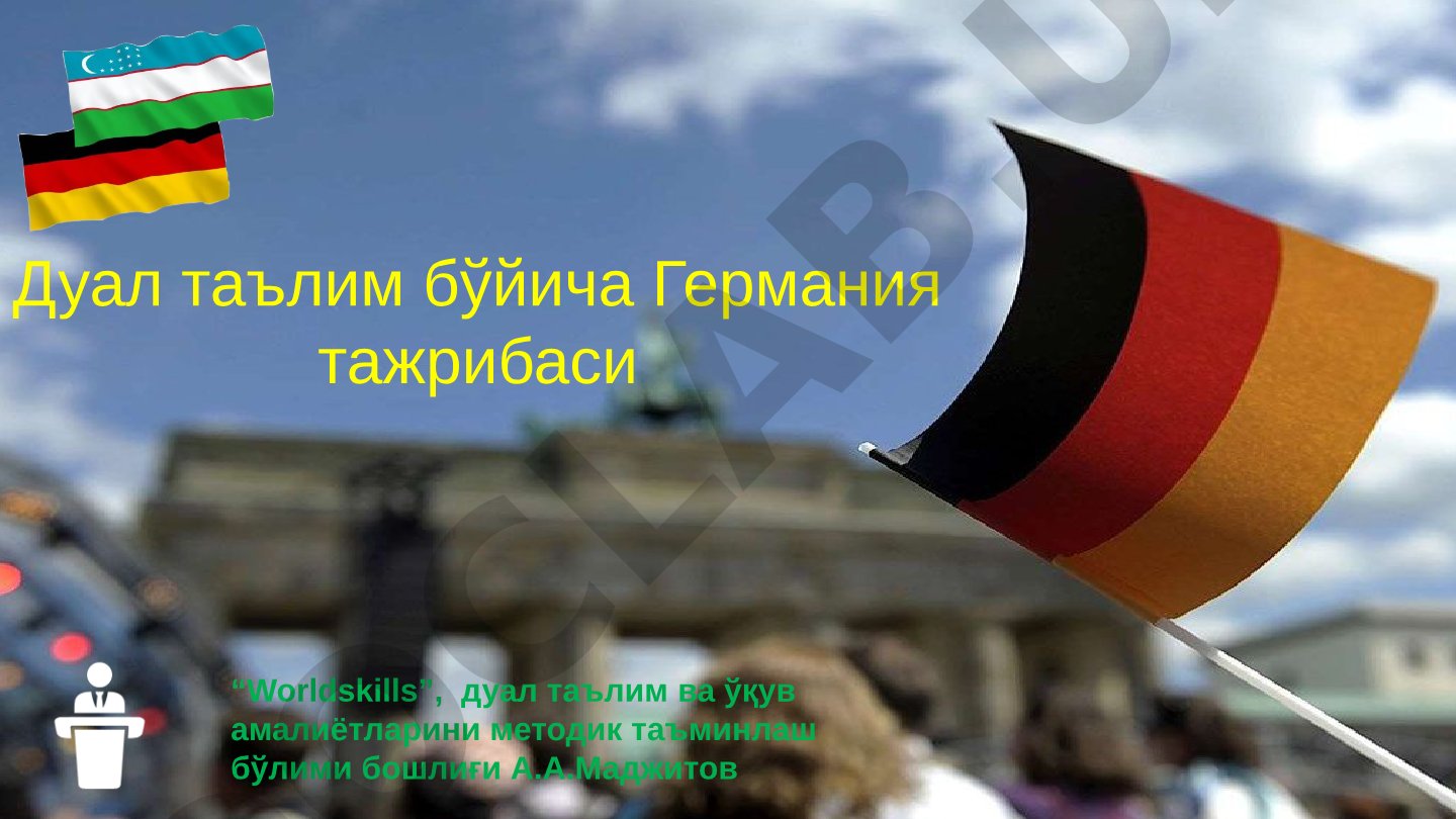 Dual ta'lim bo'yicha Germaniya tajribasi
