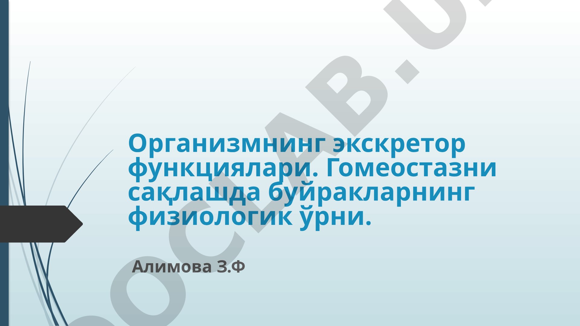Организмнинг экскретор функциялари. Гомеостазни сақлашда буйракларнинг физиологик ўрни