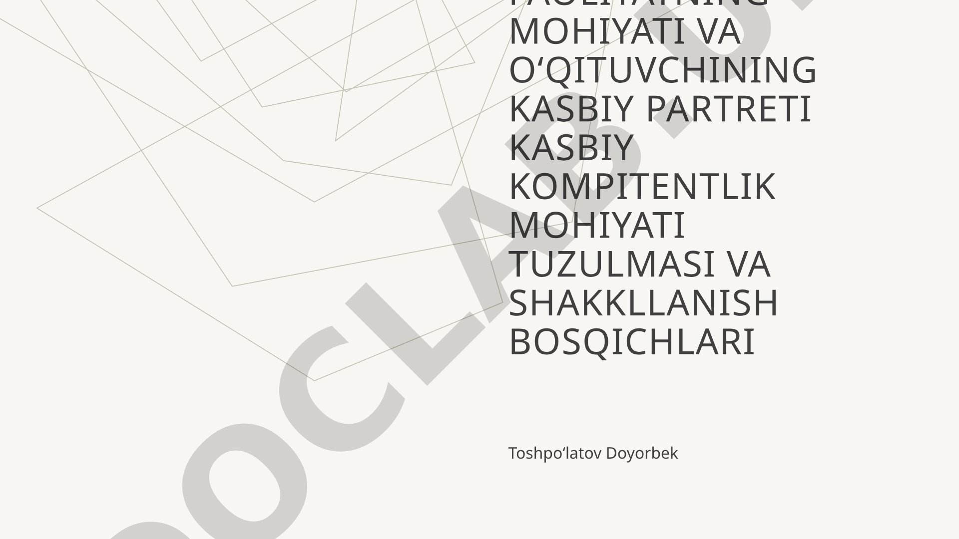 Pedagogik faoliyat, o'qituvchining kasbiy portreti va kompetentlik