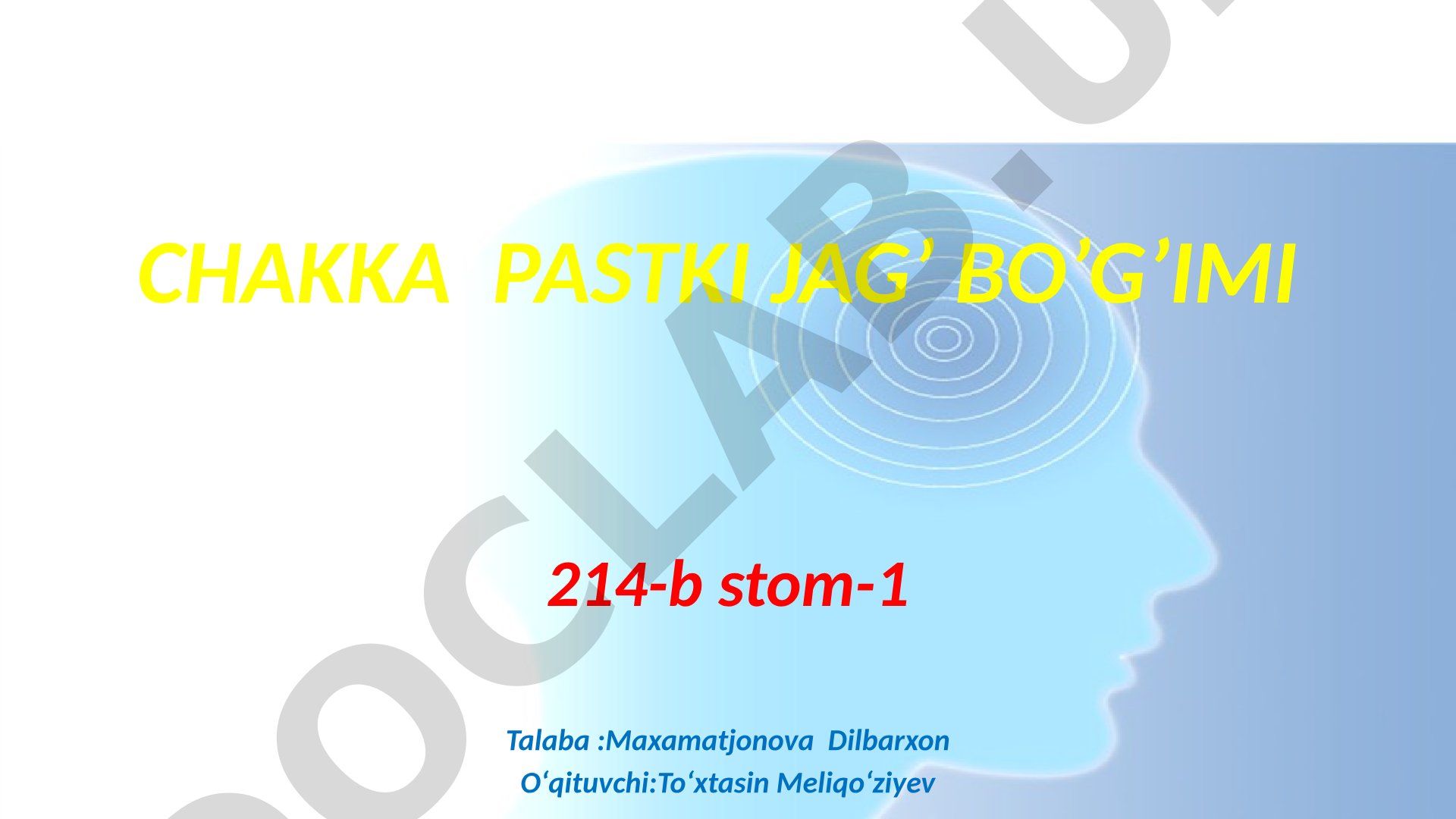 Chakka pastki jag‘ bo‘g‘imi