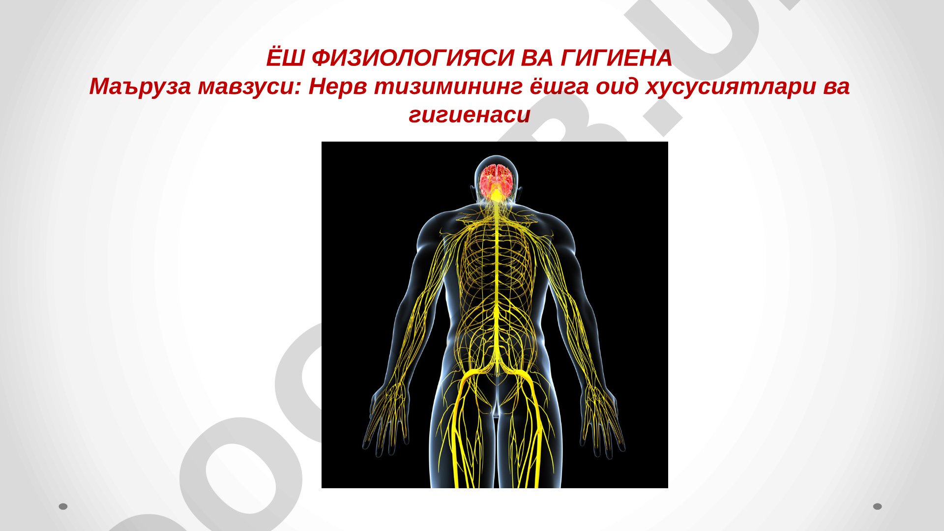 Нерв тизимининг ёшга оид хусусиятлари ва гигиенаси
