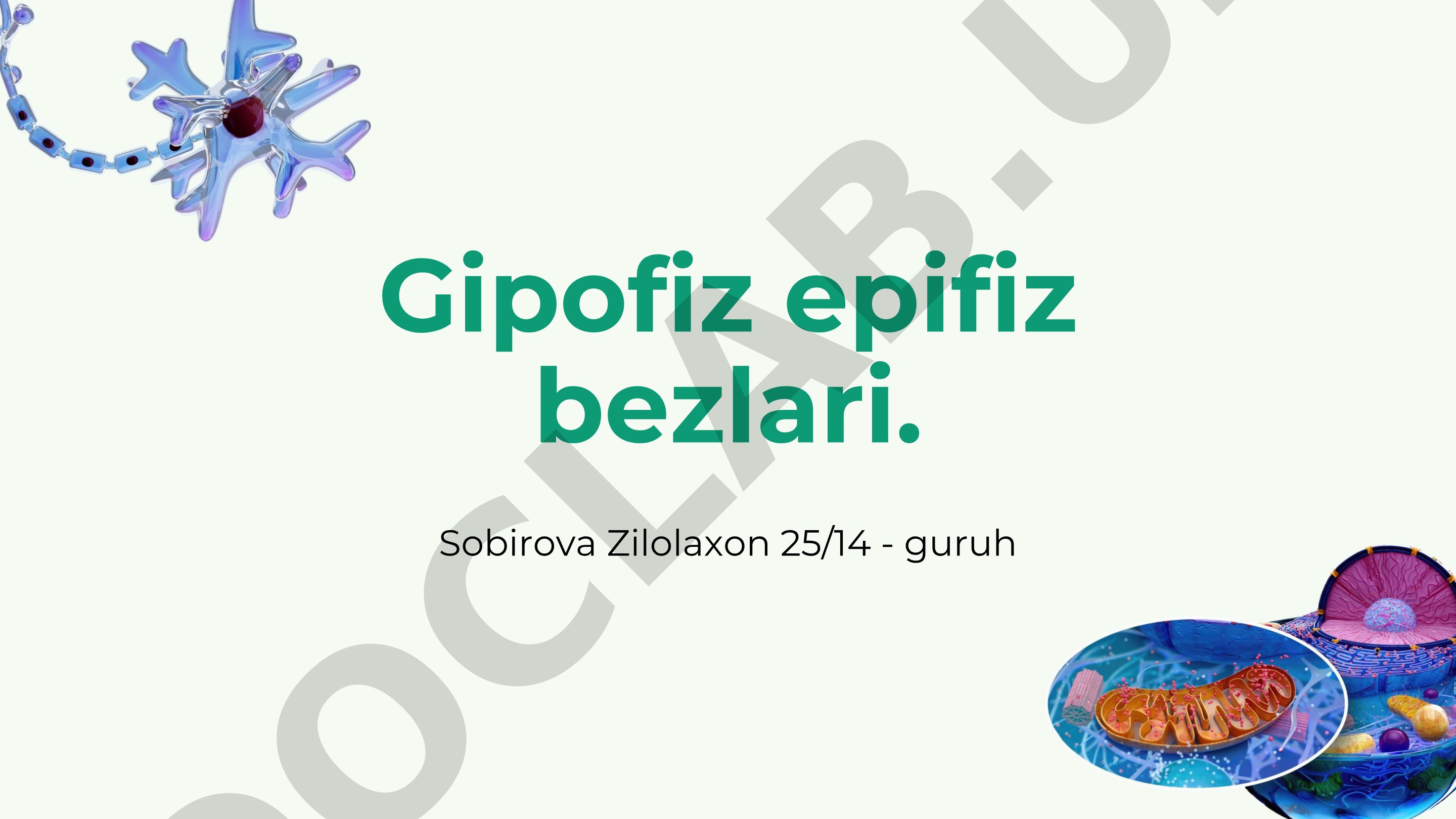 Gipofiz va epifiz bezlari