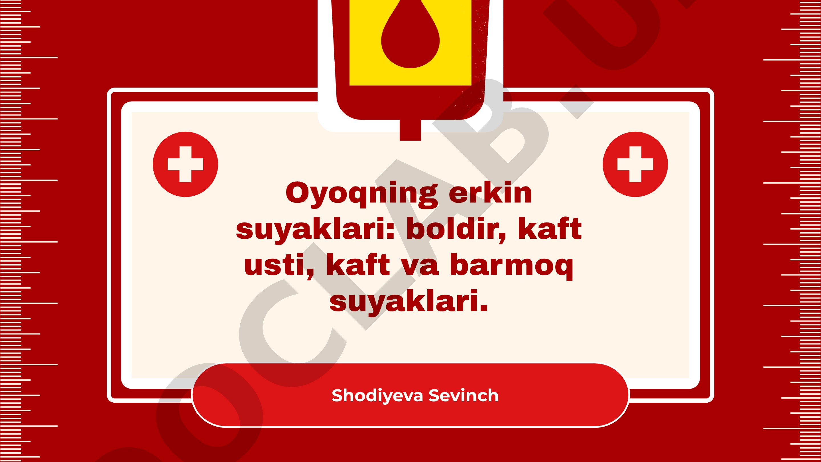 Oyoqning erkin suyaklari: boldir, kaft usti, kaft va barmoq suyaklari.