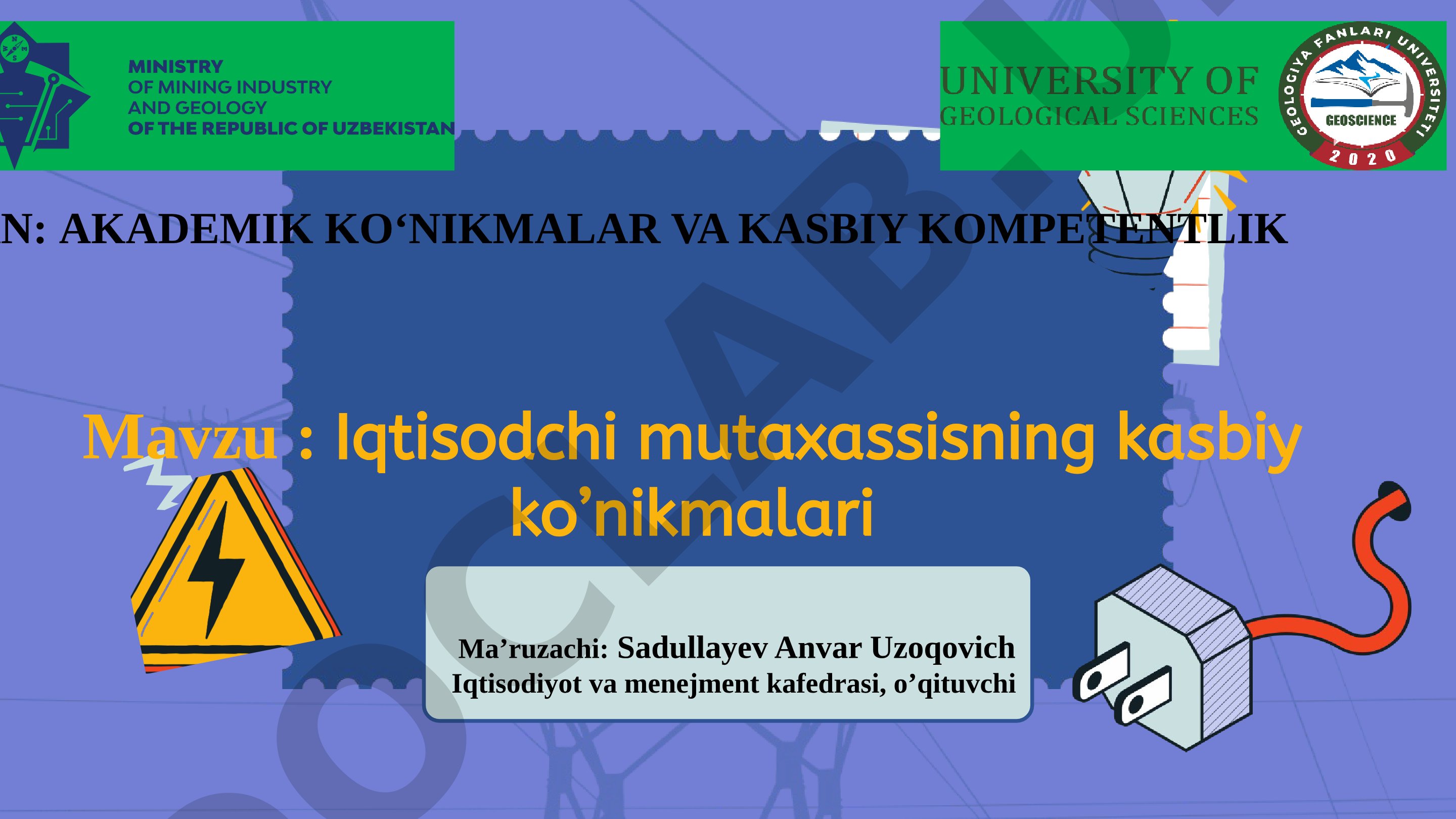 Iqtisodchi mutaxassisning kasbiy ko'nikmalari