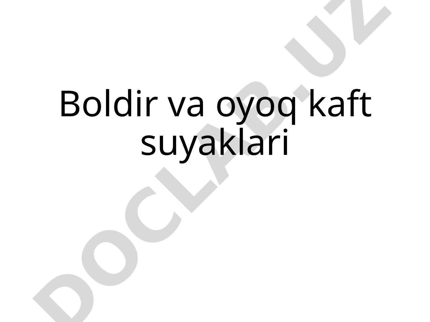 Boldir va oyoq kaft suyaklari