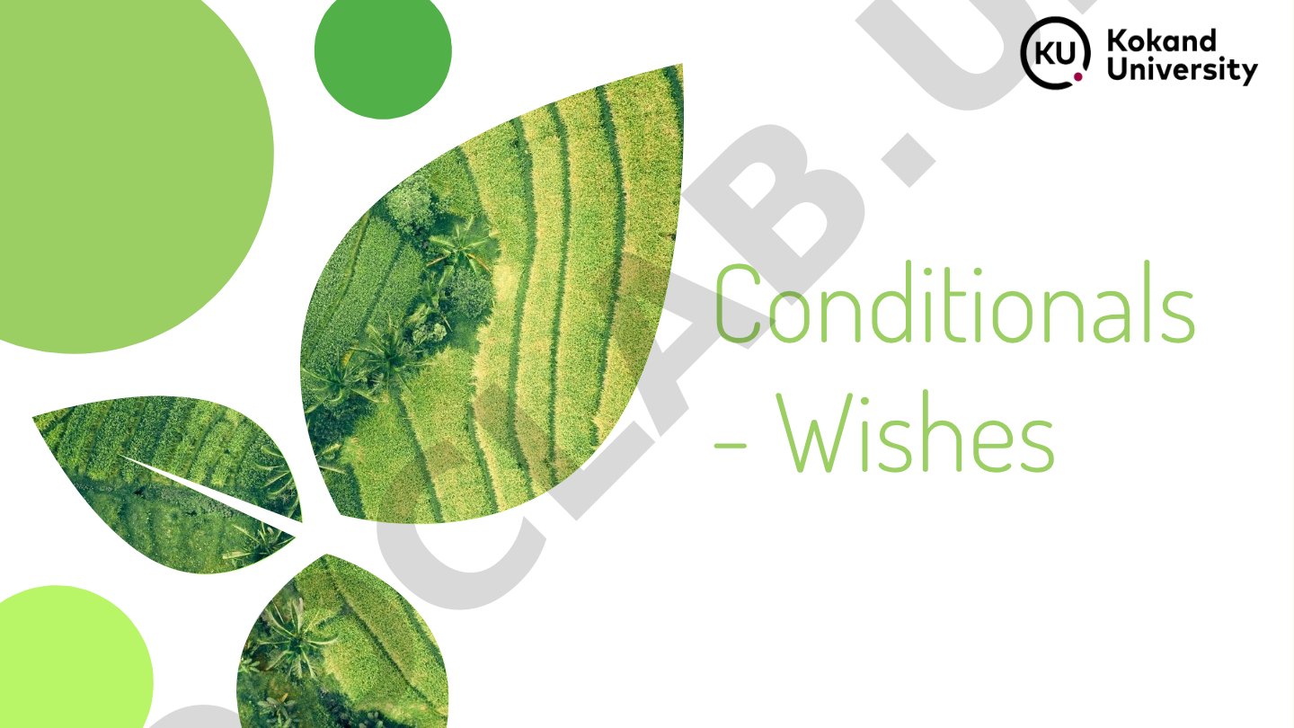 Conditionals - Wishes Lesson plan