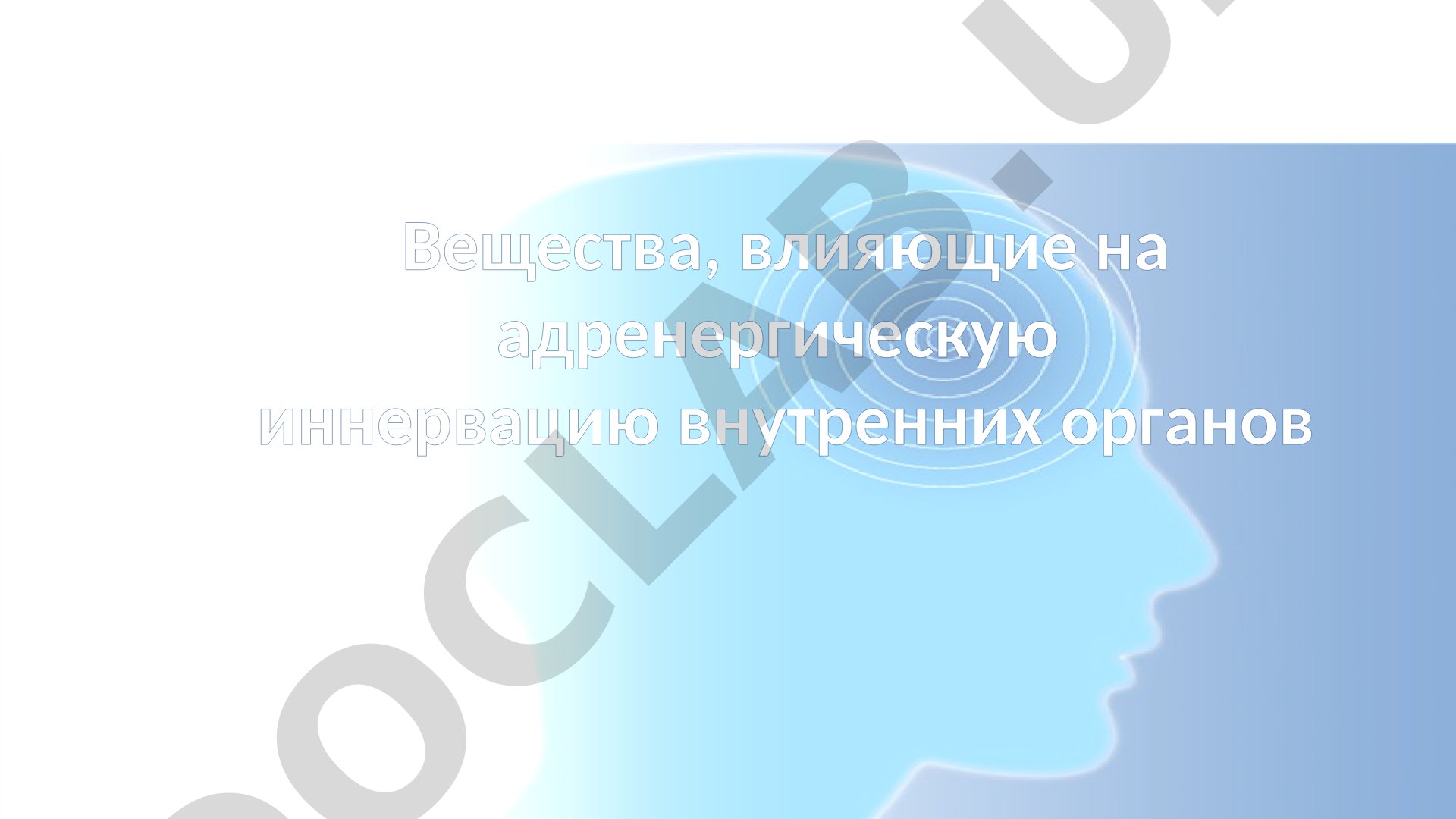 Вещества, влияющие на адренергическую иннервацию внутренних органов
