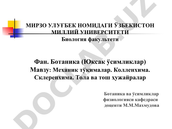 Механик тўқималар. Колленхима. Склеренхима. Тола ва тош ҳужайралар