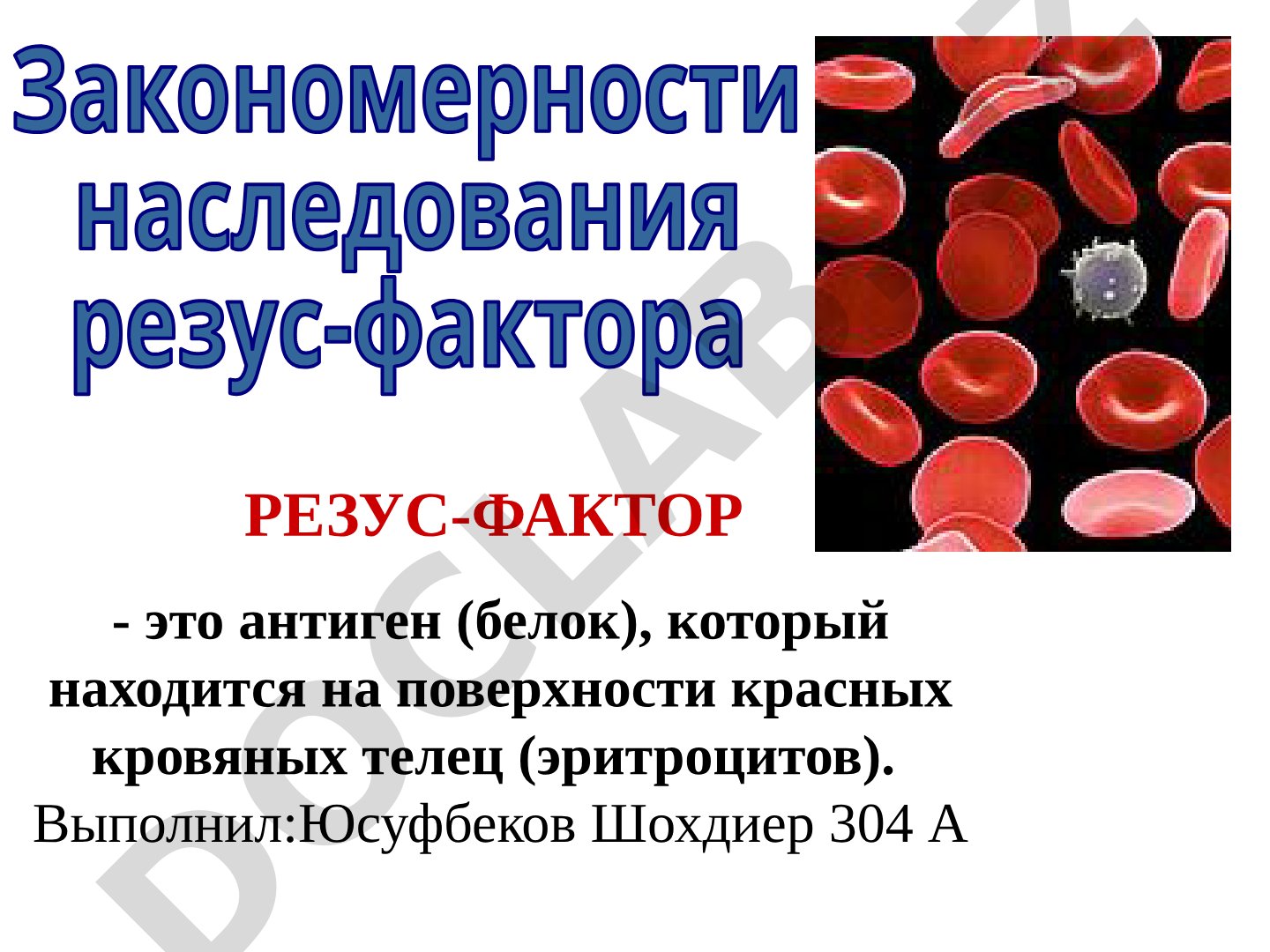 Закономерности наследования резус-фактора