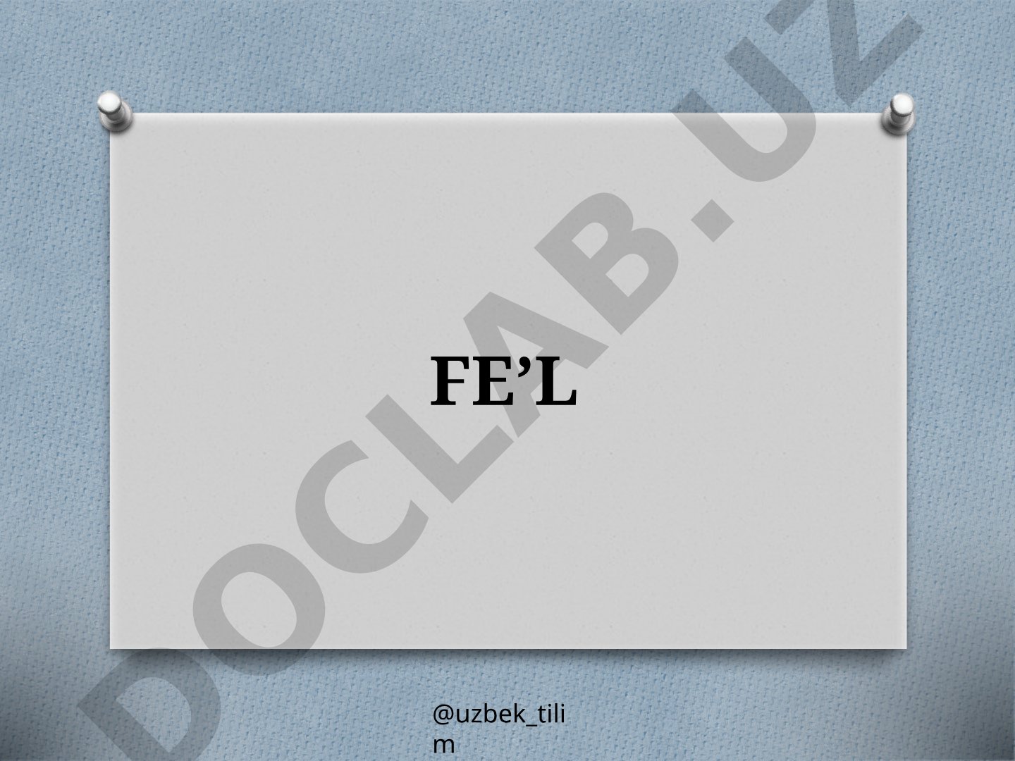 FE’L