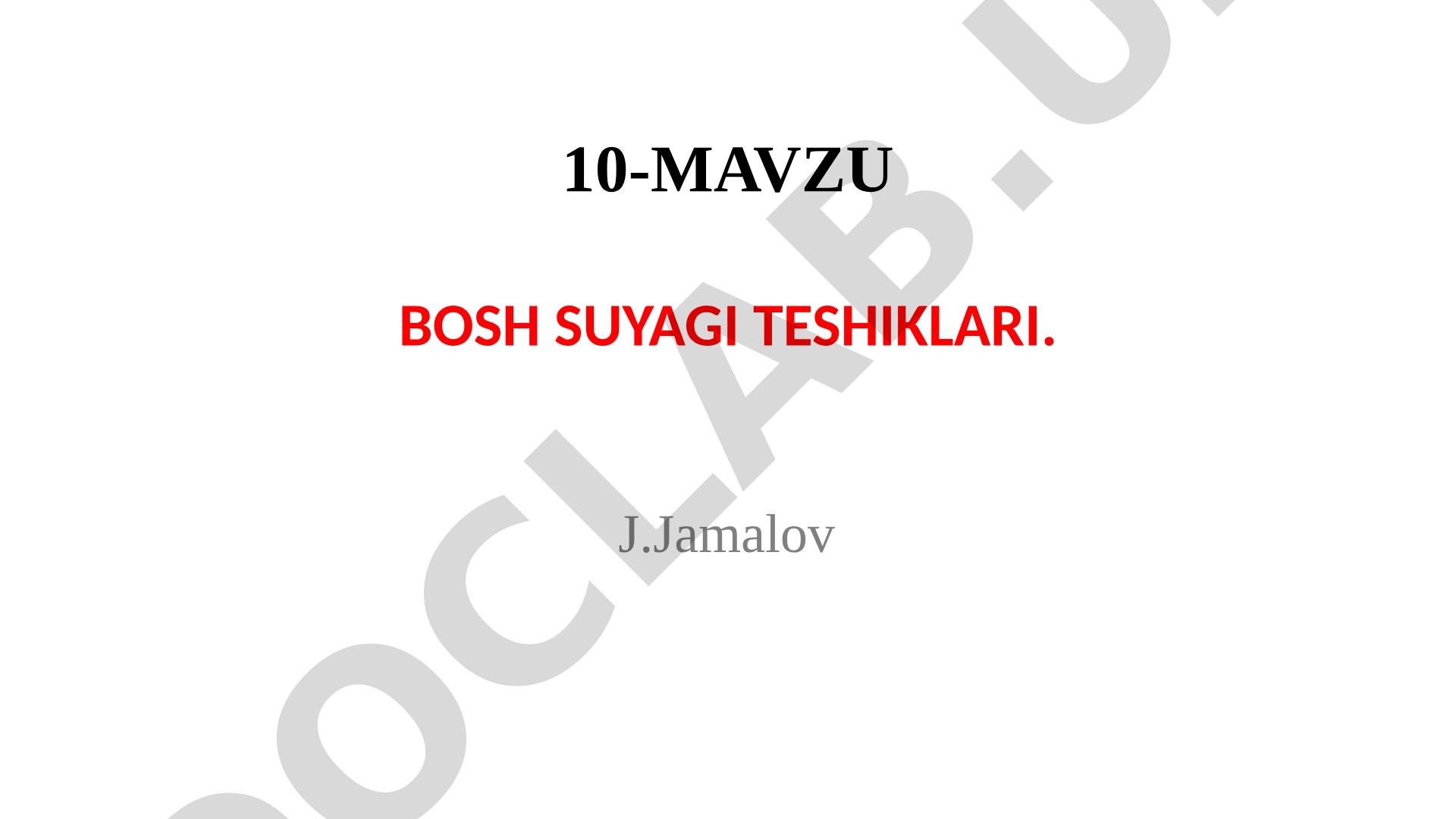 Bosh suyagi teshiklari