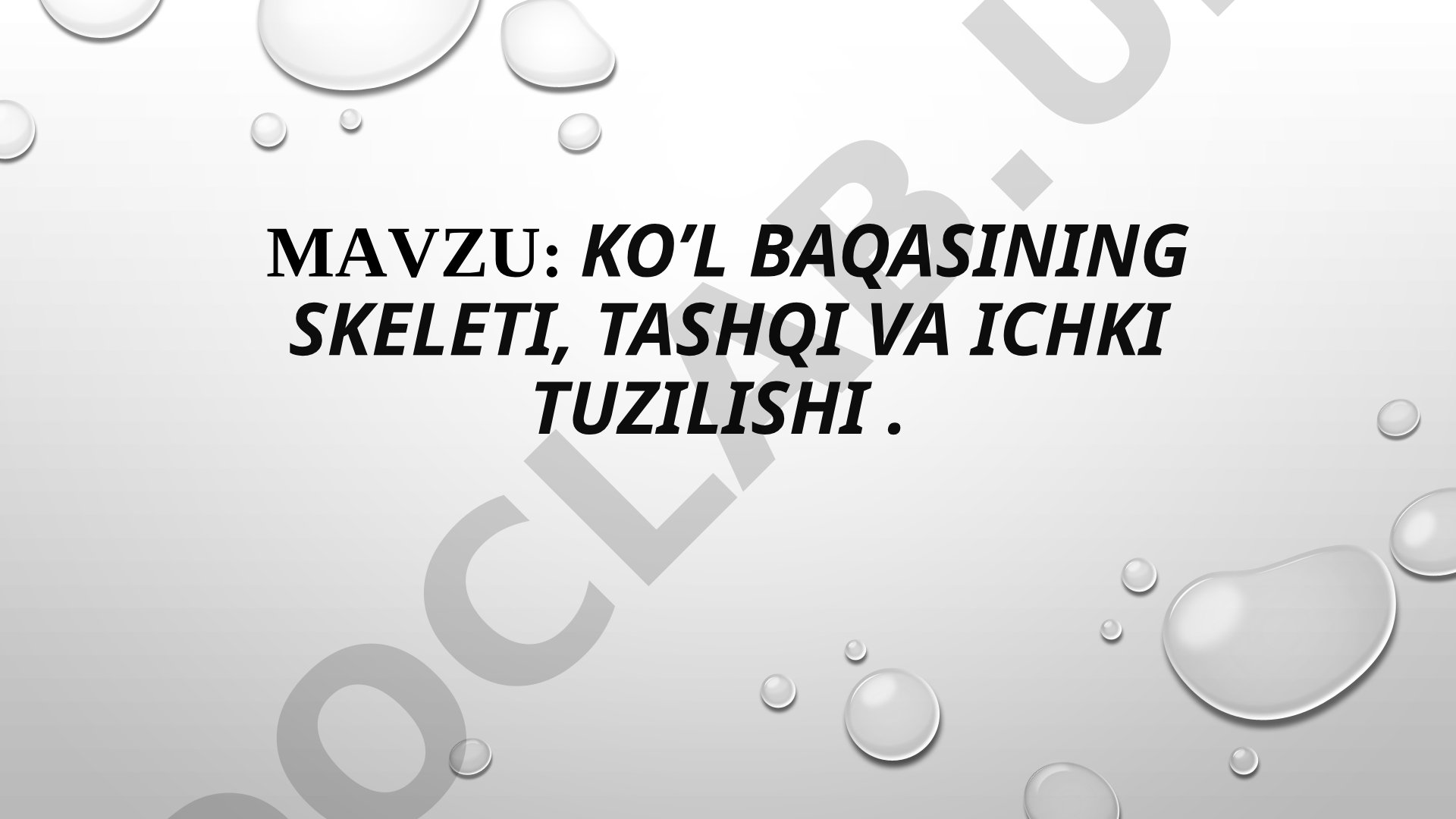 Ko’l baqasining skeleti, tashqi va ichki tuzilishi
