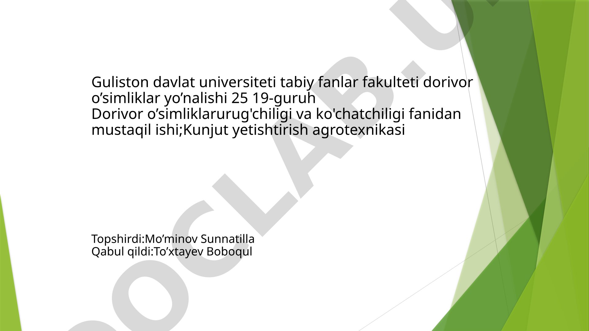 Kunjut yetishtirish agrotexnikasi