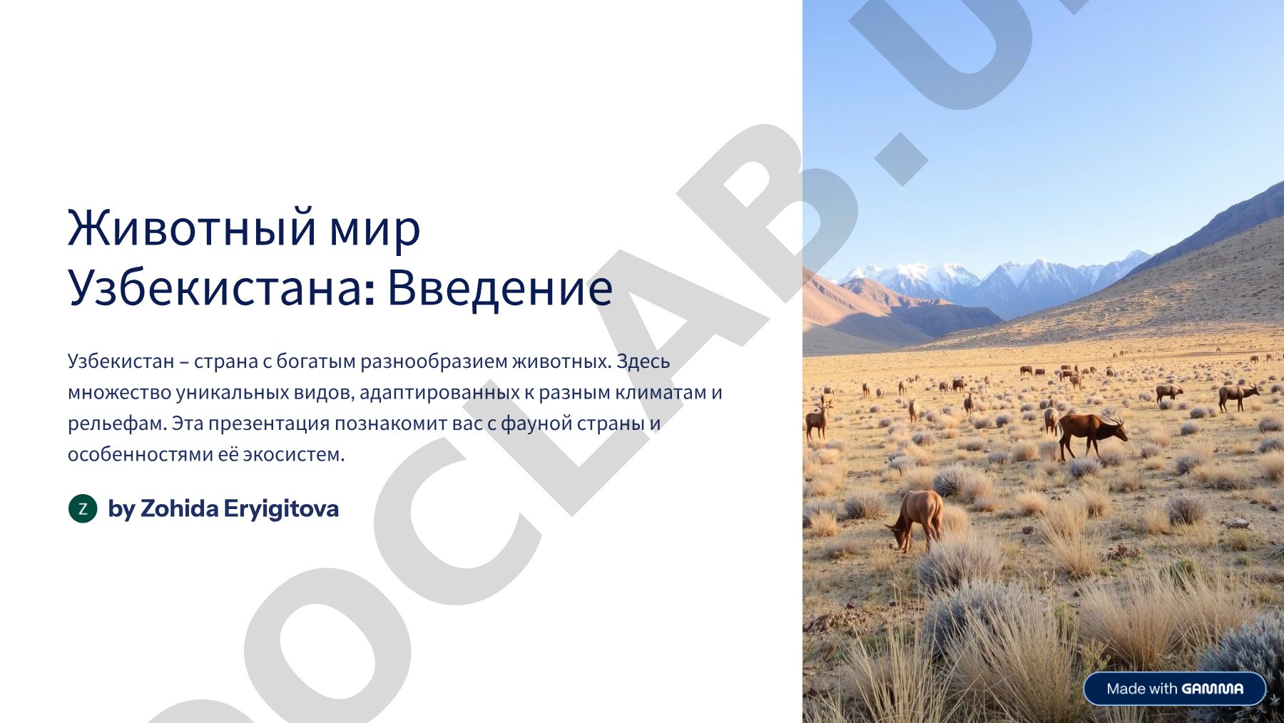 SAP platformasida veb-ilova yaratish