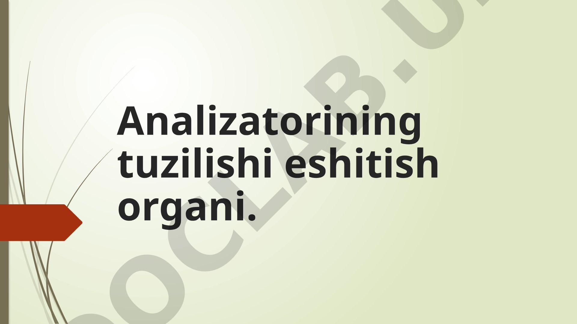 Analizatorining tuzilishi eshitish organi