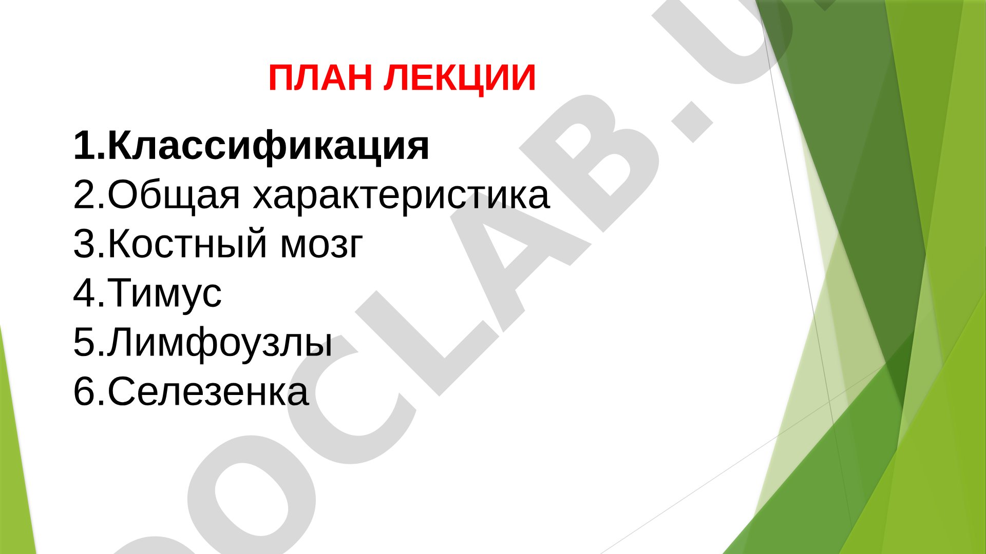 Органы кроветворения и иммунной защиты