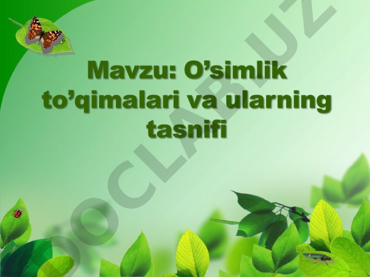 O'simlik to'qimalari va ularning klassifikatsiyasi