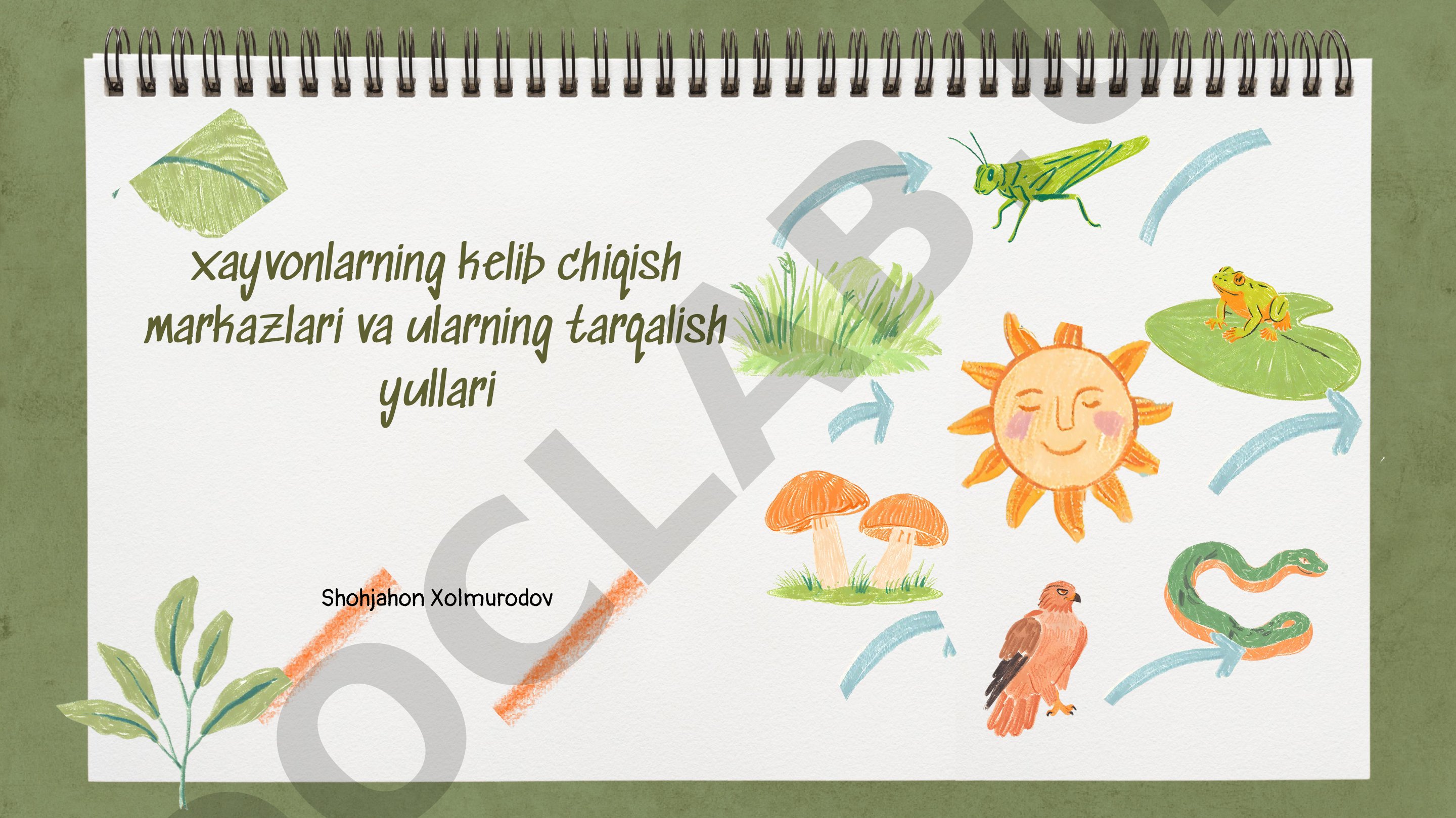 Xayvonlarning kelib chiqish markazlari va tarqalish yullari
