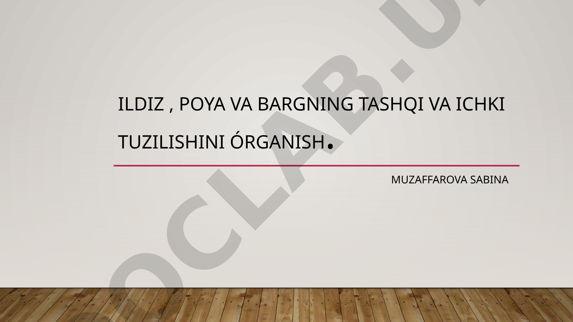 Ildiz, poya va bargning tashqi va ichki tuzilishini o'rganish
