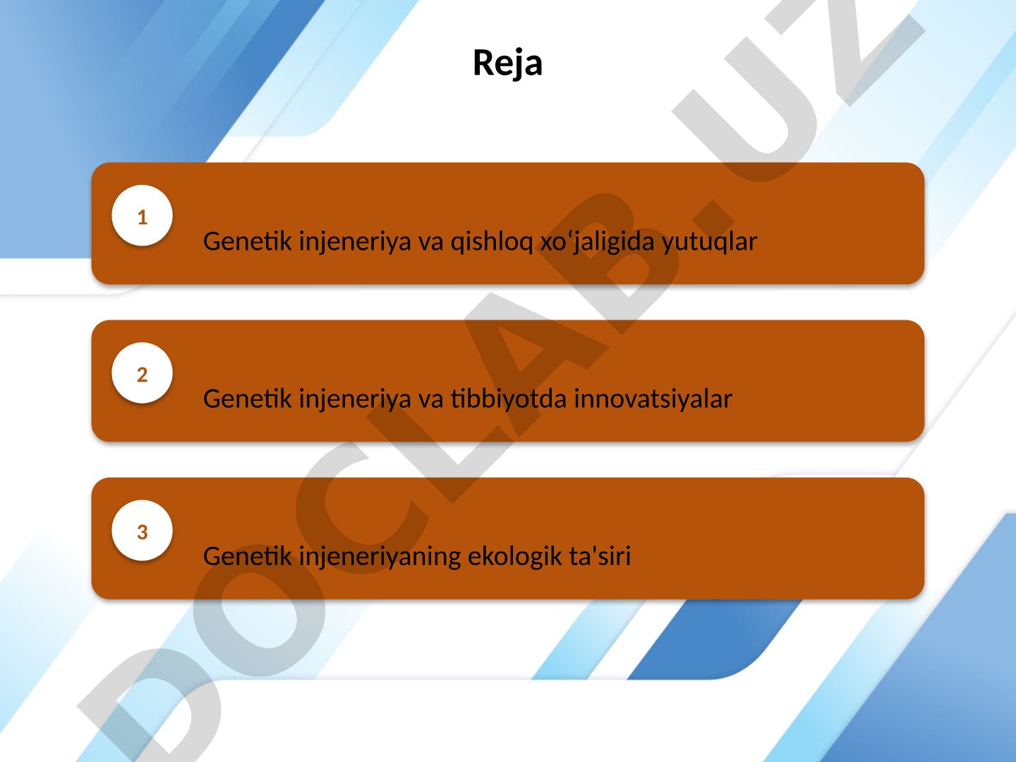 Genetik injeneriyaning qishloq xo'jaligi, tibbiyot va ekologiyaga ta'siri haqida taqdimot