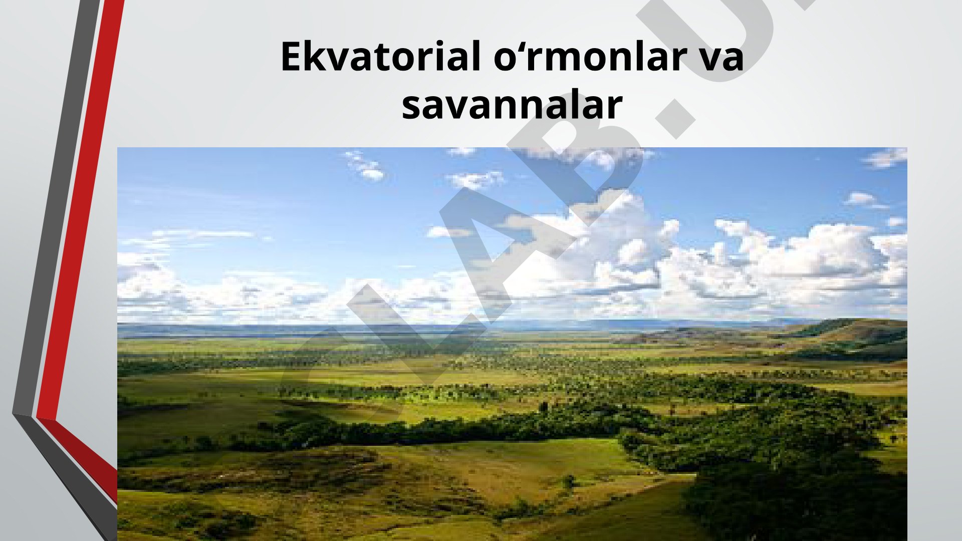 Ekvatorial o‘rmonlar va savannalar