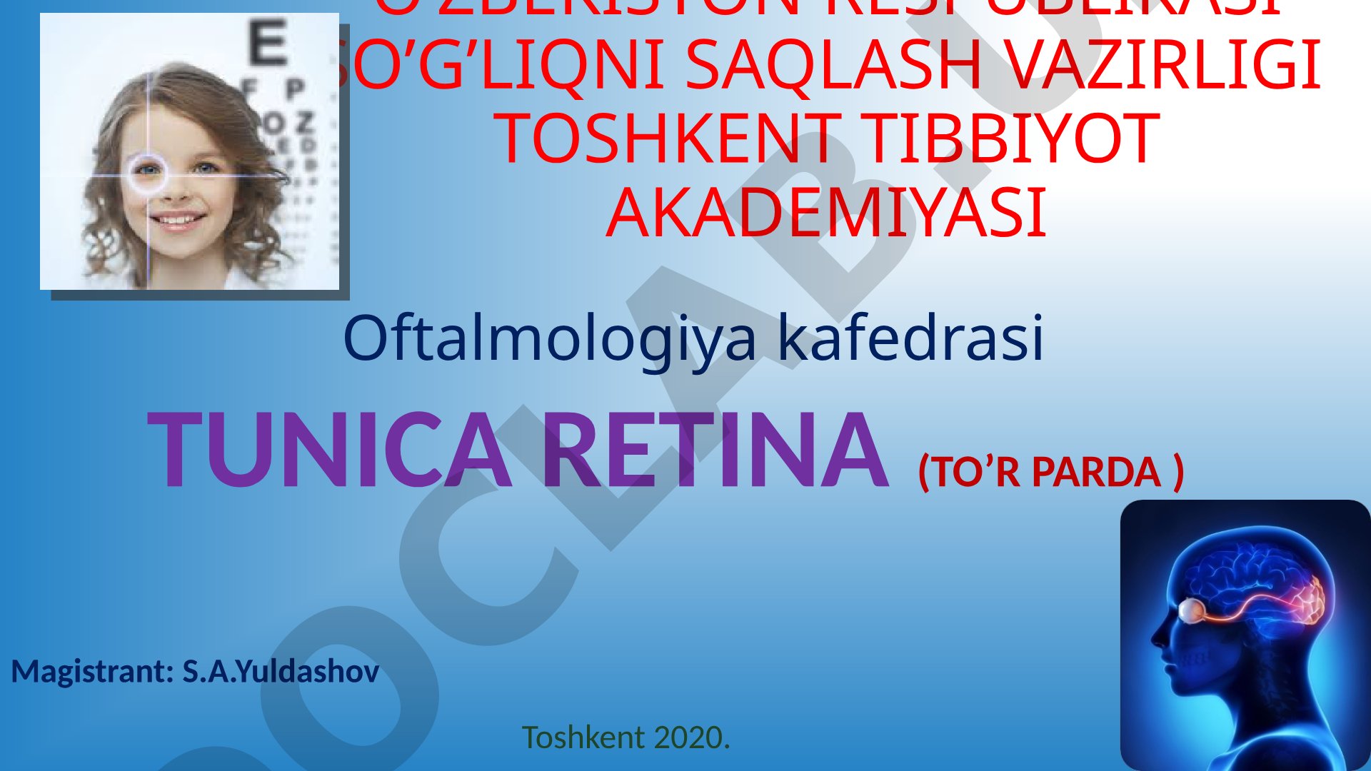 Tunica retina (to'r parda)