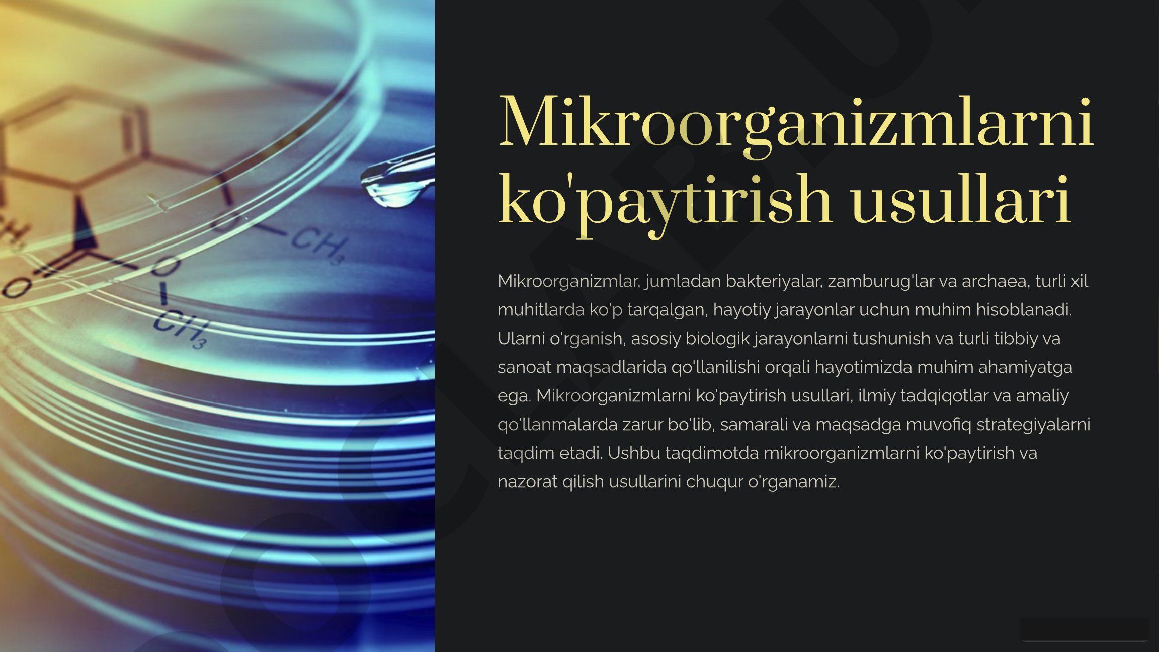 Mikroorganizmlarni ko'paytirish usullari va ularning ahamiyati
