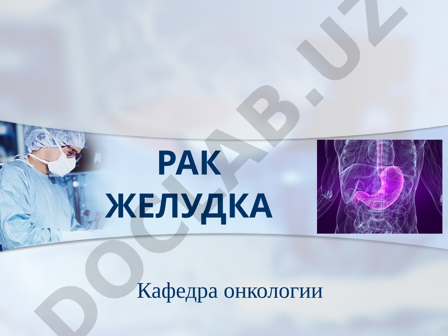 Рак желудка: анатомия, кровоснабжение, венозный отток и лимфоотток
