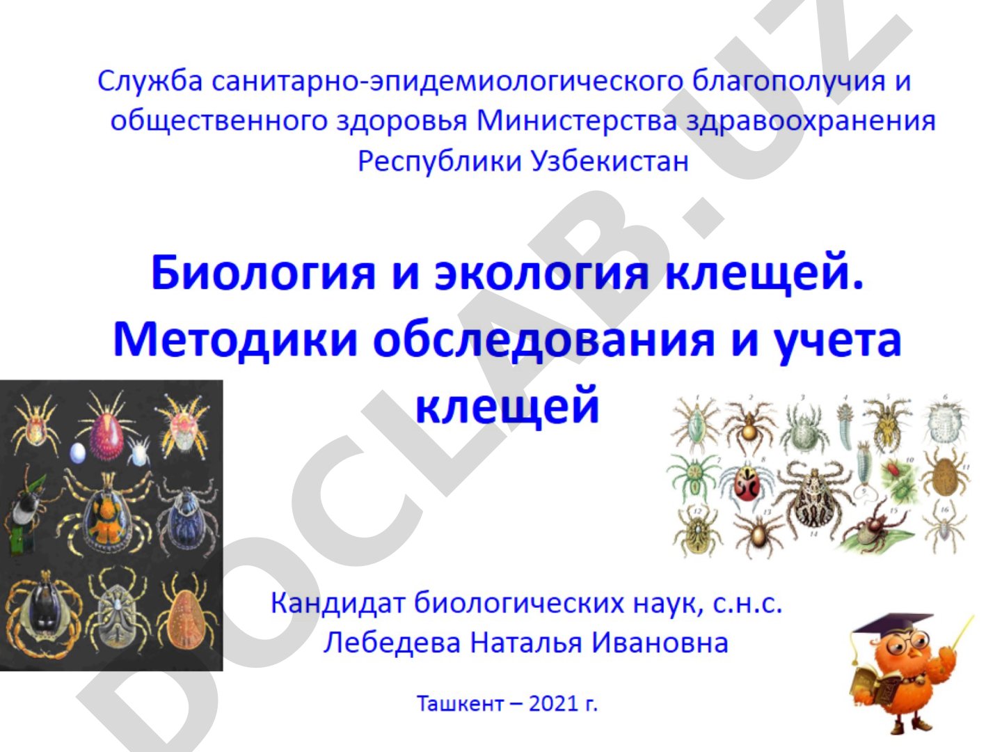 Биология и экология клещей. Методики обследования и учета клещей