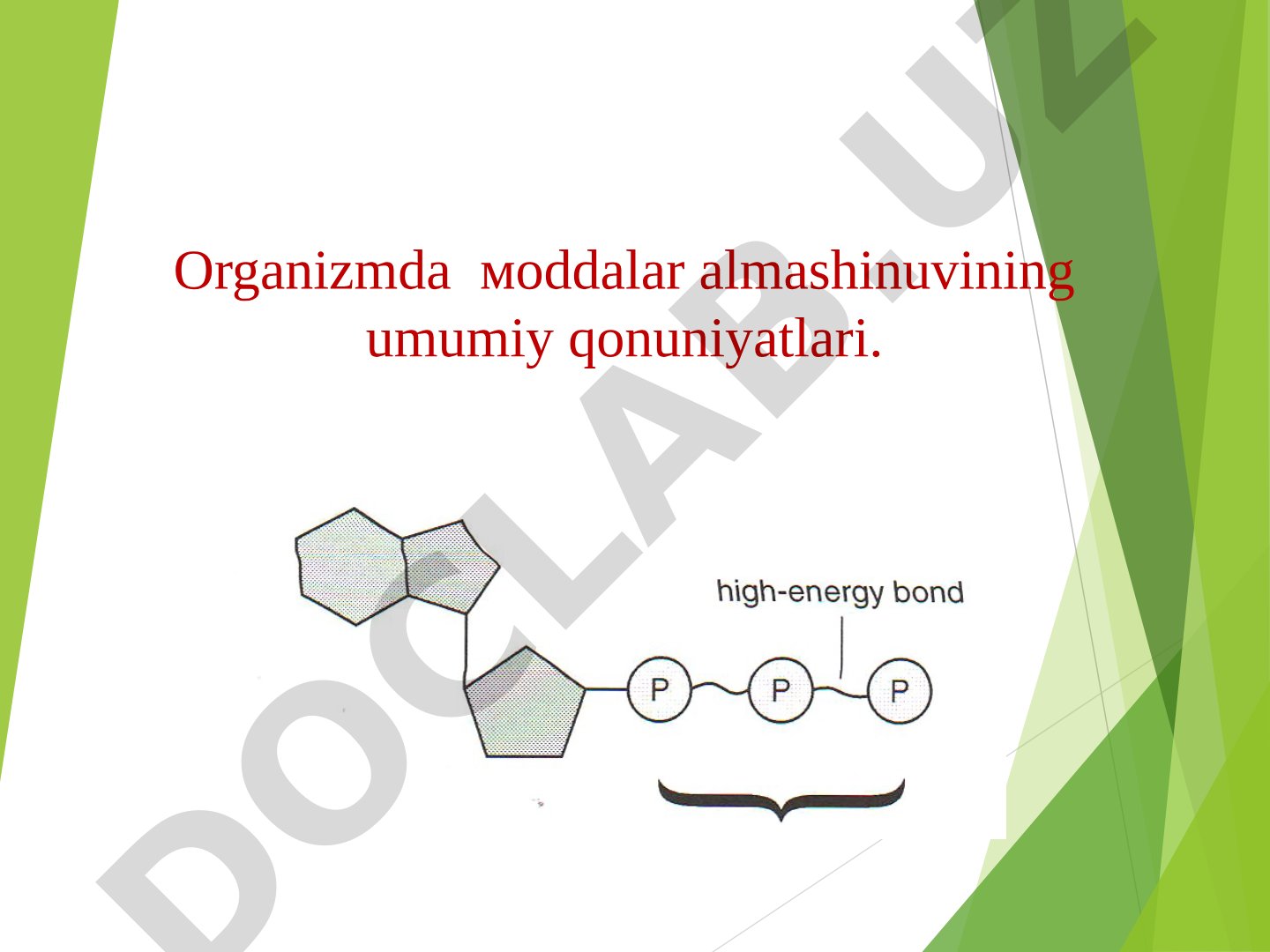 Organizmda moddalar almashinuvining umumiy qonuniyatlari
