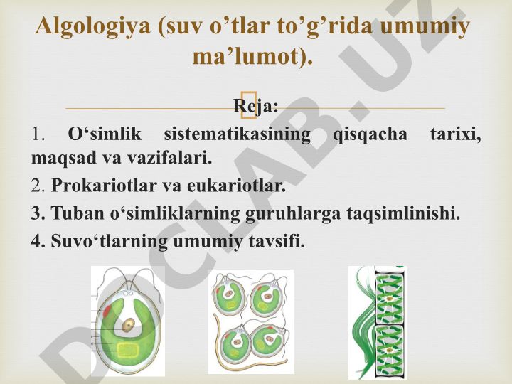 O'simliklar sistematikasi va suv o'tlari