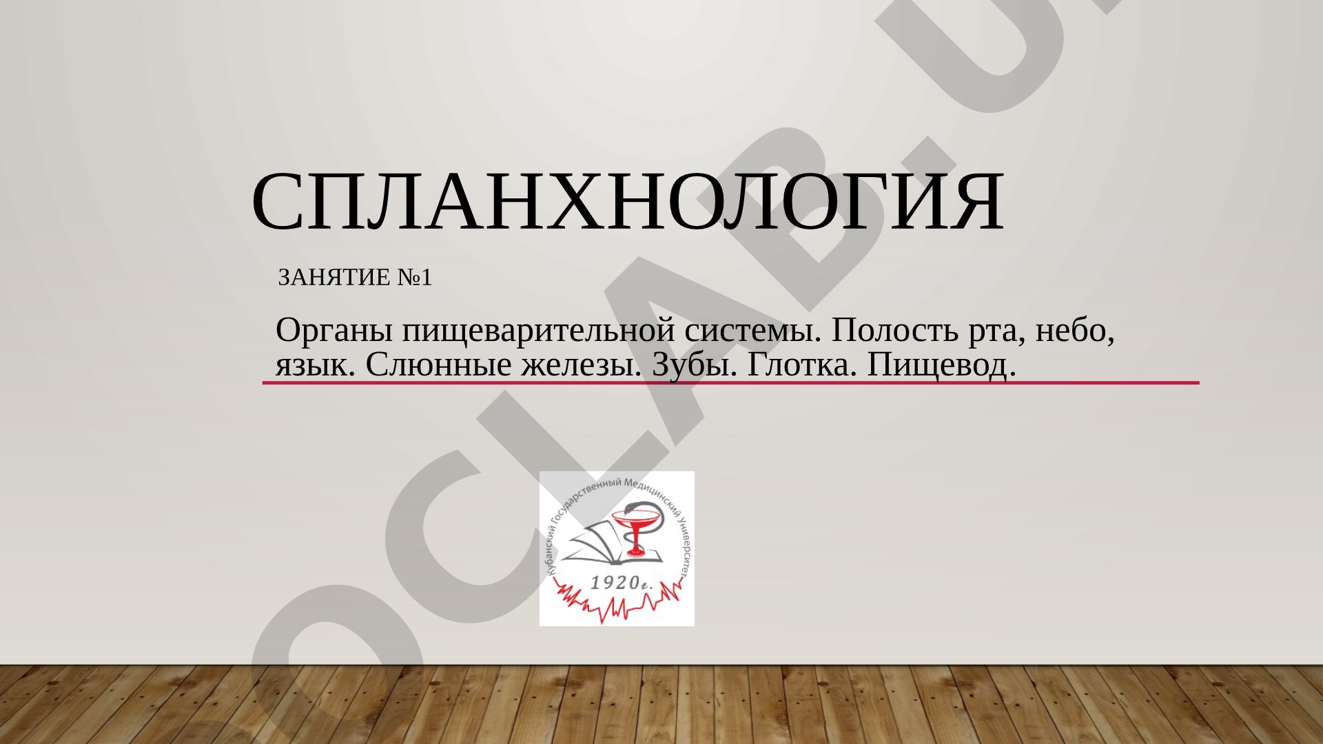 Органы пищеварительной системы. Полость рта, небо, язык. Слюнные железы. Зубы. Глотка. Пищевод.