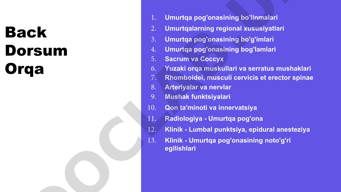 Umurtqa pog'onasi osteologiyasi